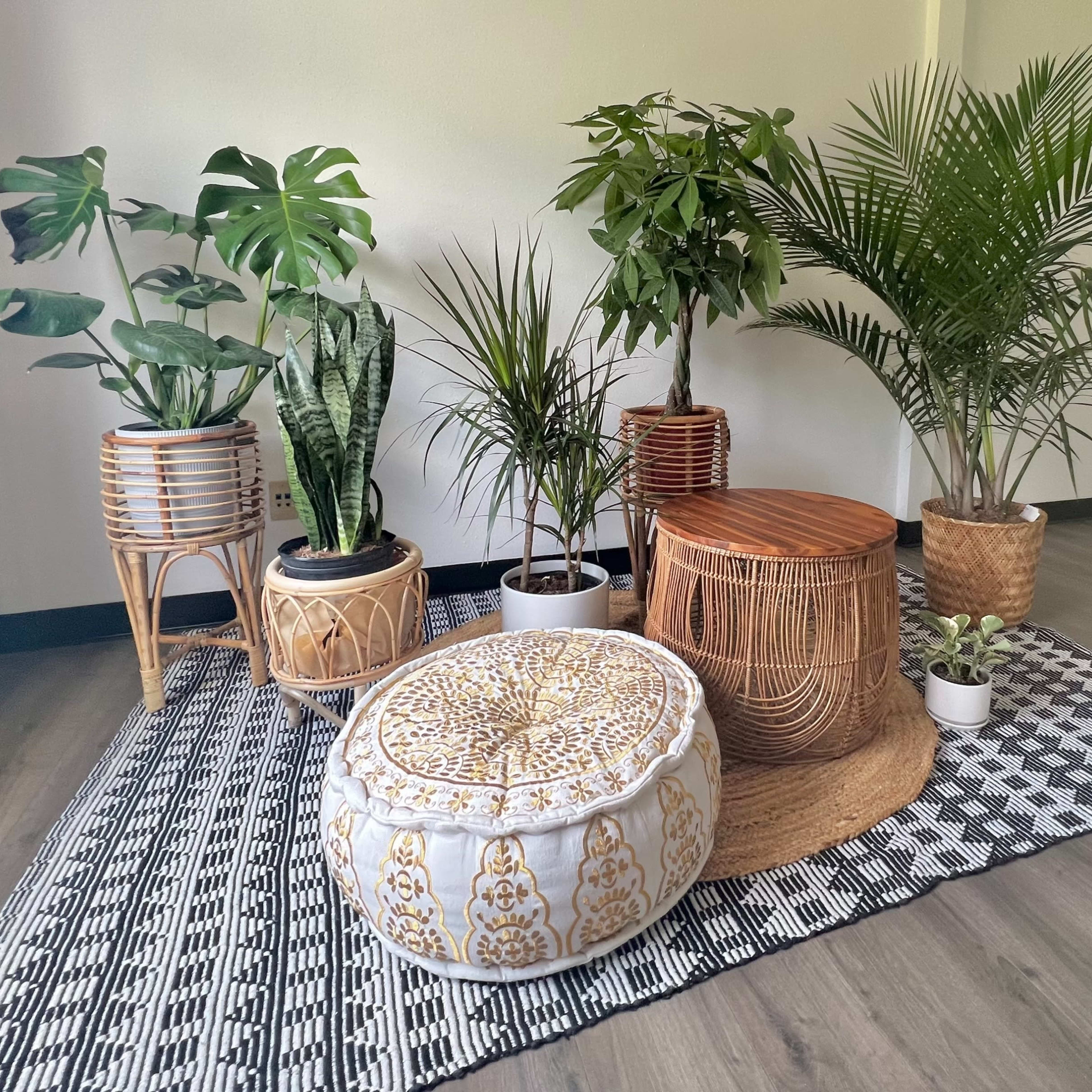 A collection of various potted plants arranged around a woven rug, with seating options made from natural materials in a spacious indoor setting.