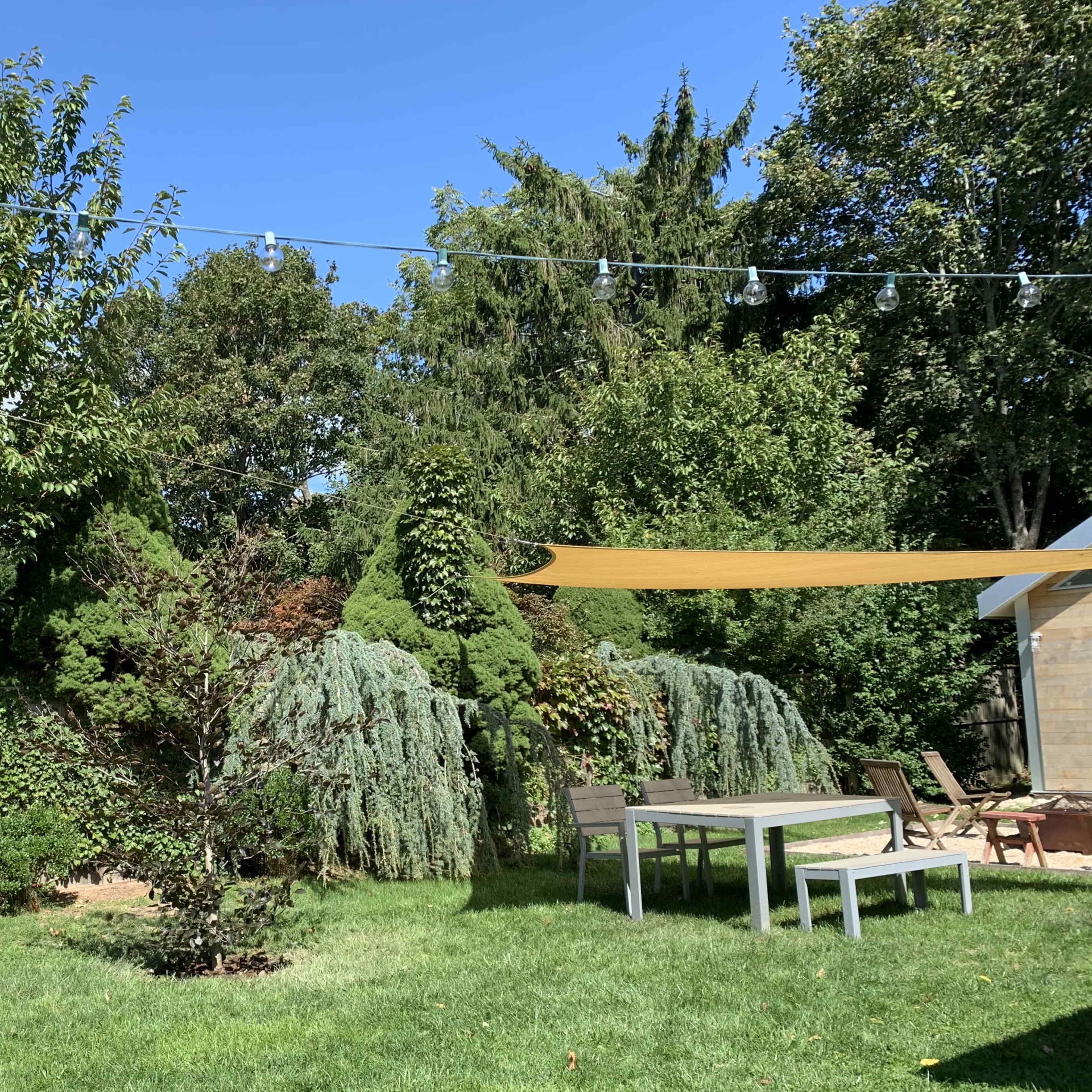 A backyard with a table and chairs under a fabric canopy, surrounded by various trees and shrubs against a clear blue sky.