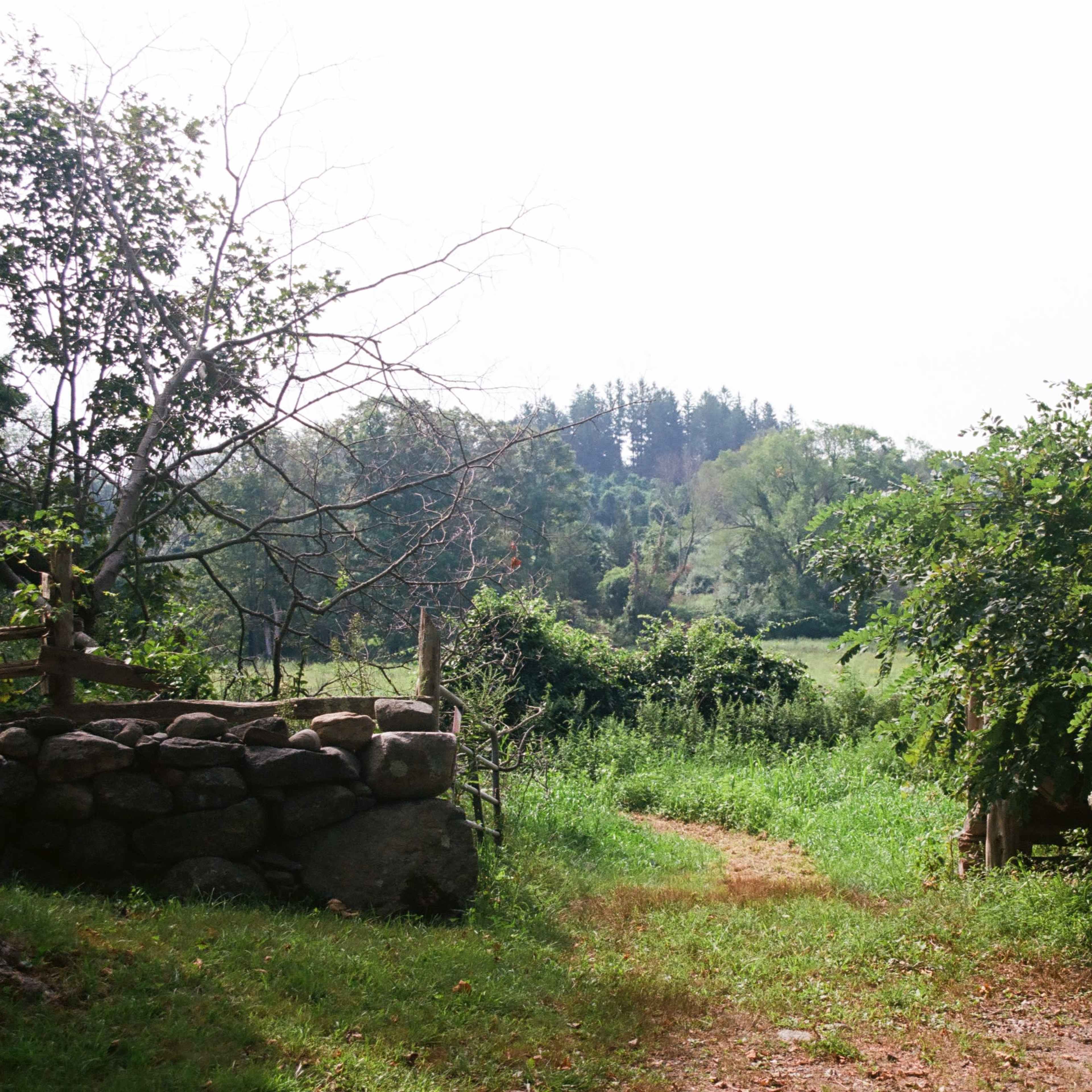 A dirt path leads through a clearing surrounded by stone walls and lush greenery, with a hill visible in the background.