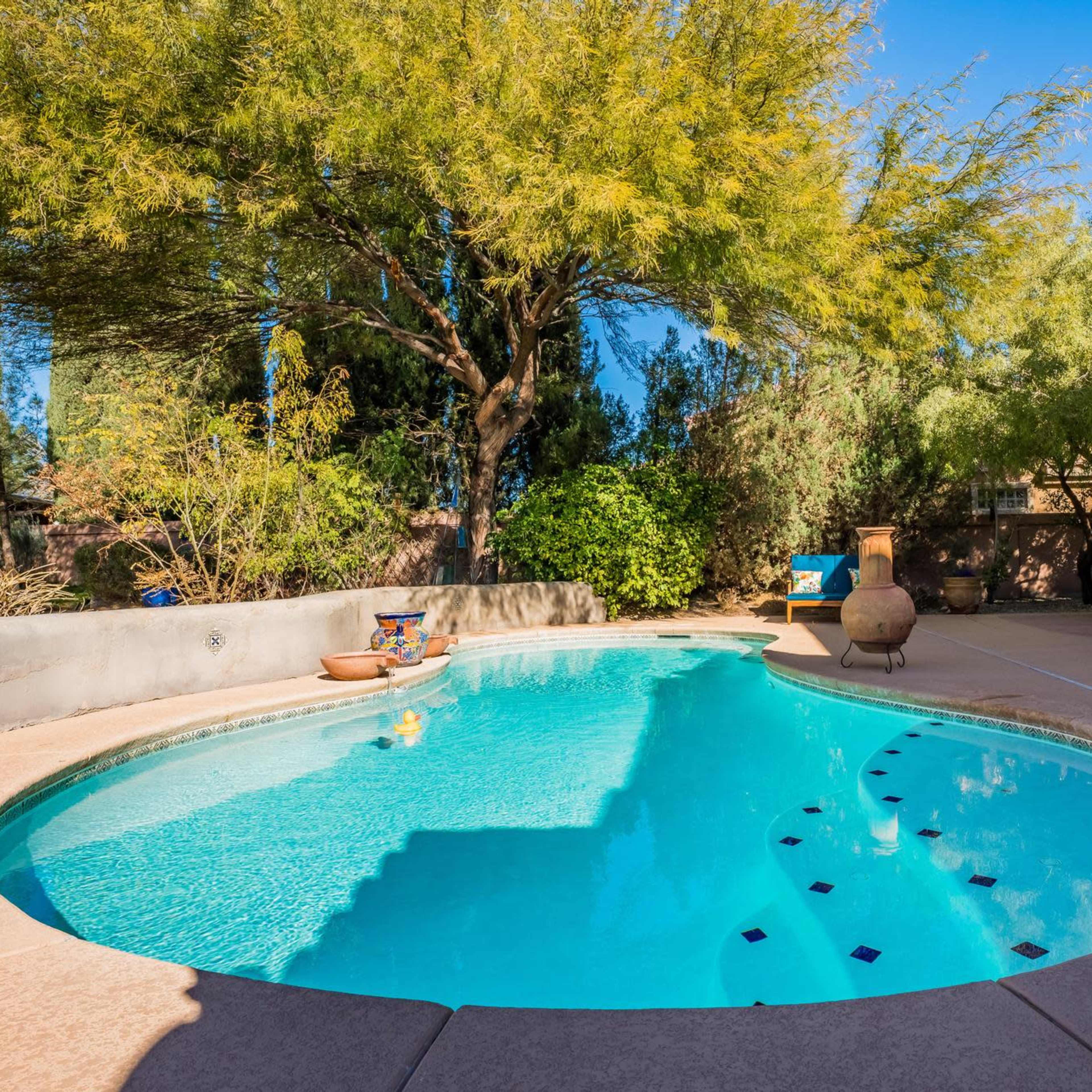 A curved swimming pool surrounded by desert landscaping and a covered patio with outdoor furniture.