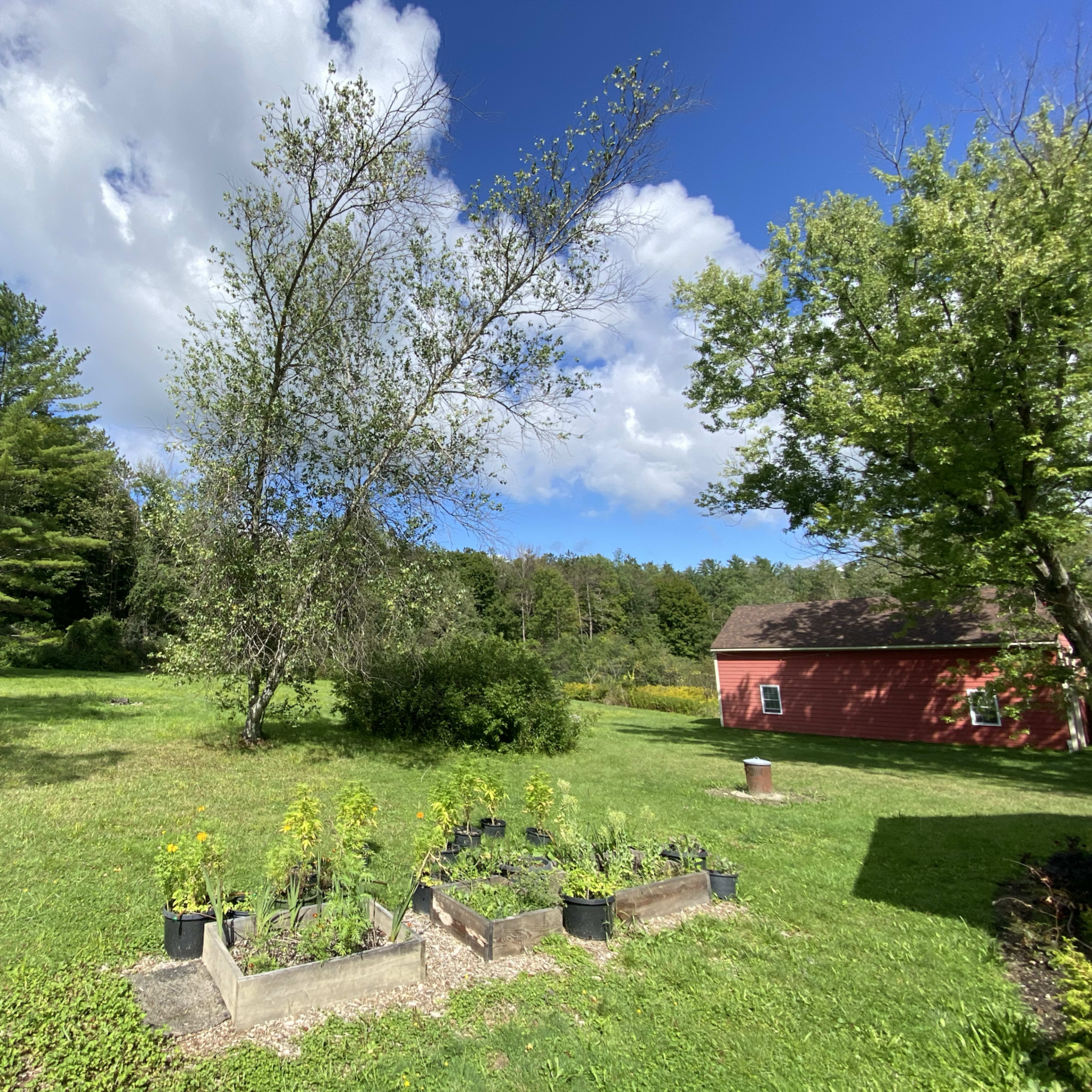A garden bed with potted plants is set against a backdrop of grass, trees, and a red barn under a partly cloudy sky.