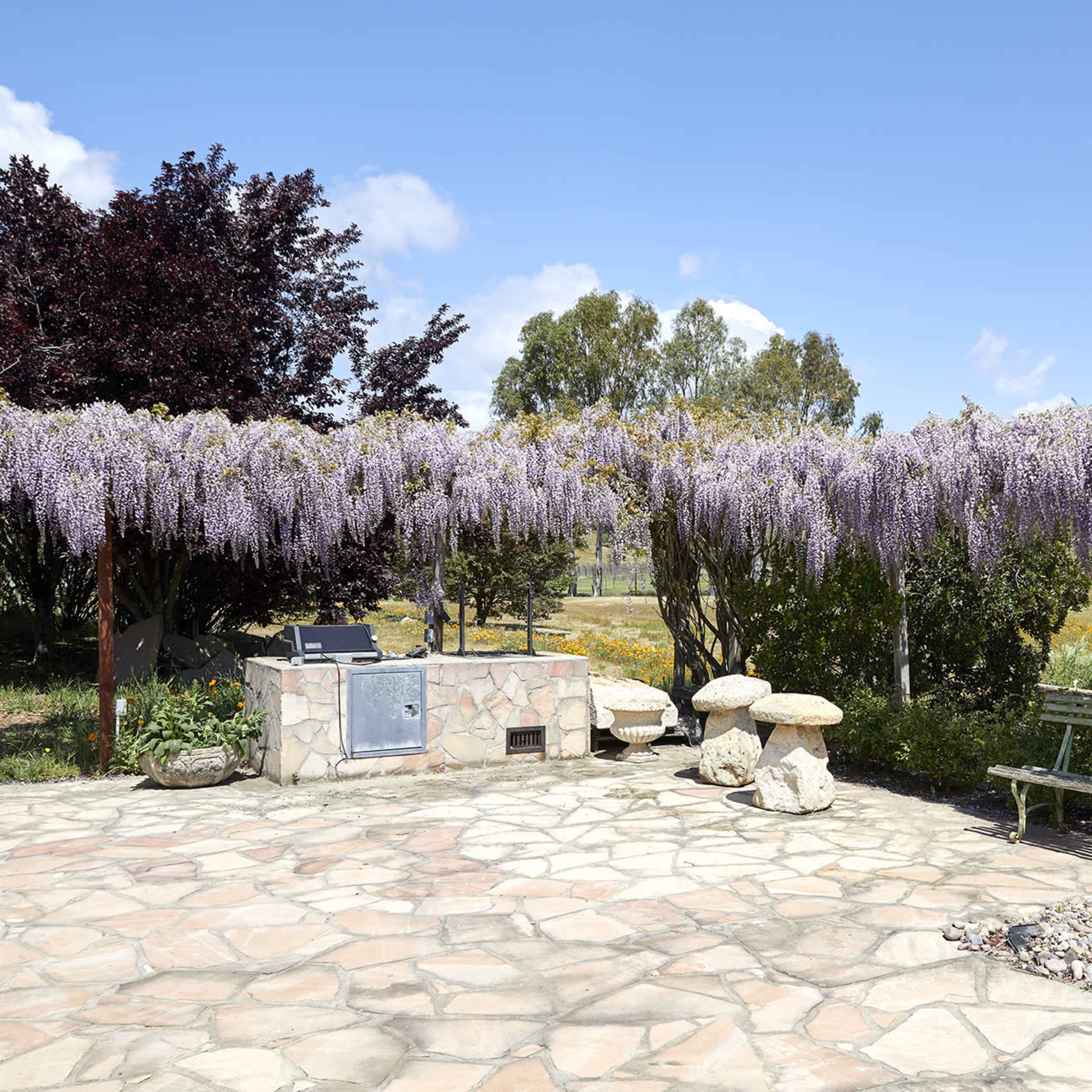 A stone patio features a grill and wooden benches, surrounded by flowering wisteria and a view of green fields under a blue sky.