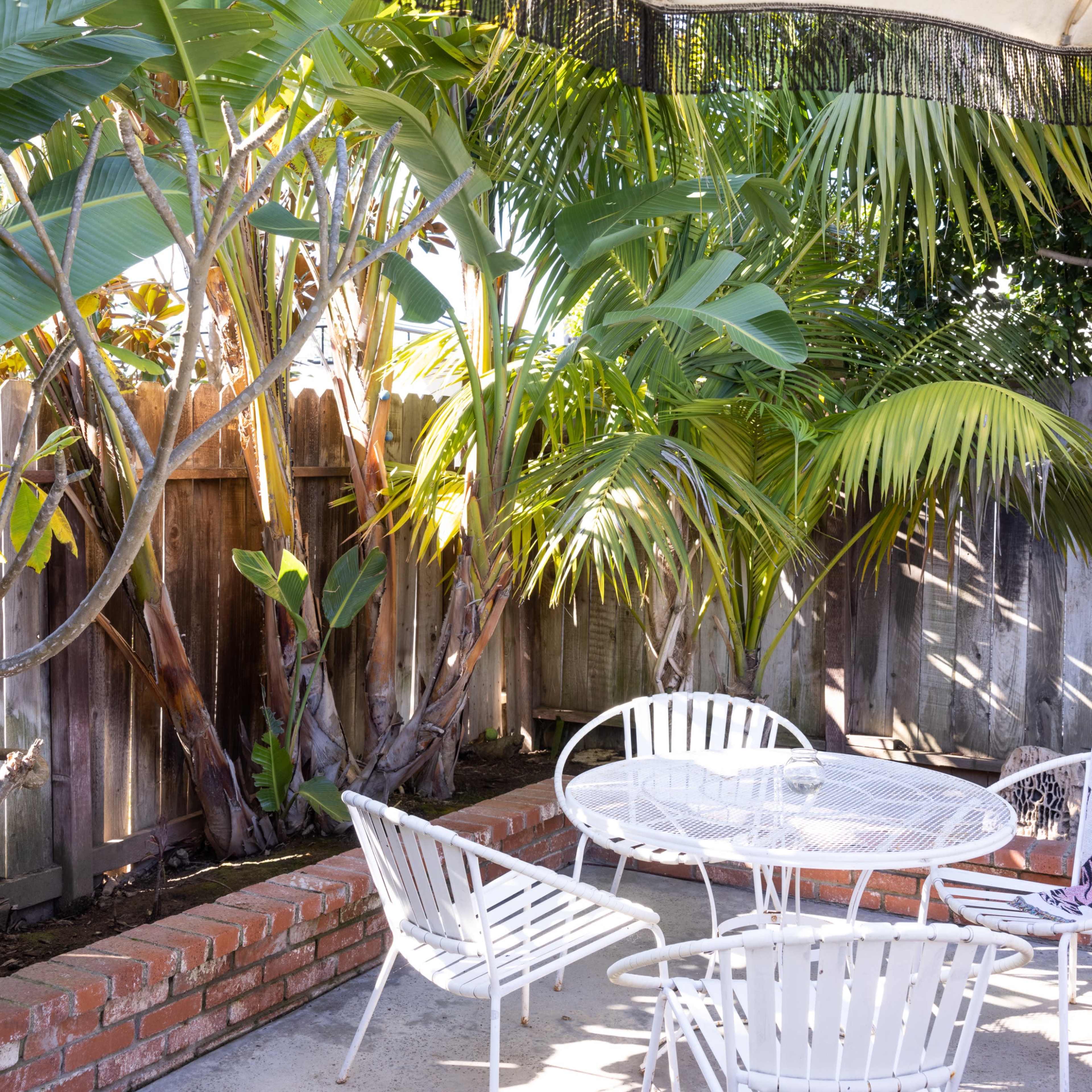 A small patio area features a round table with four white chairs surrounded by tropical plants under a fabric awning.