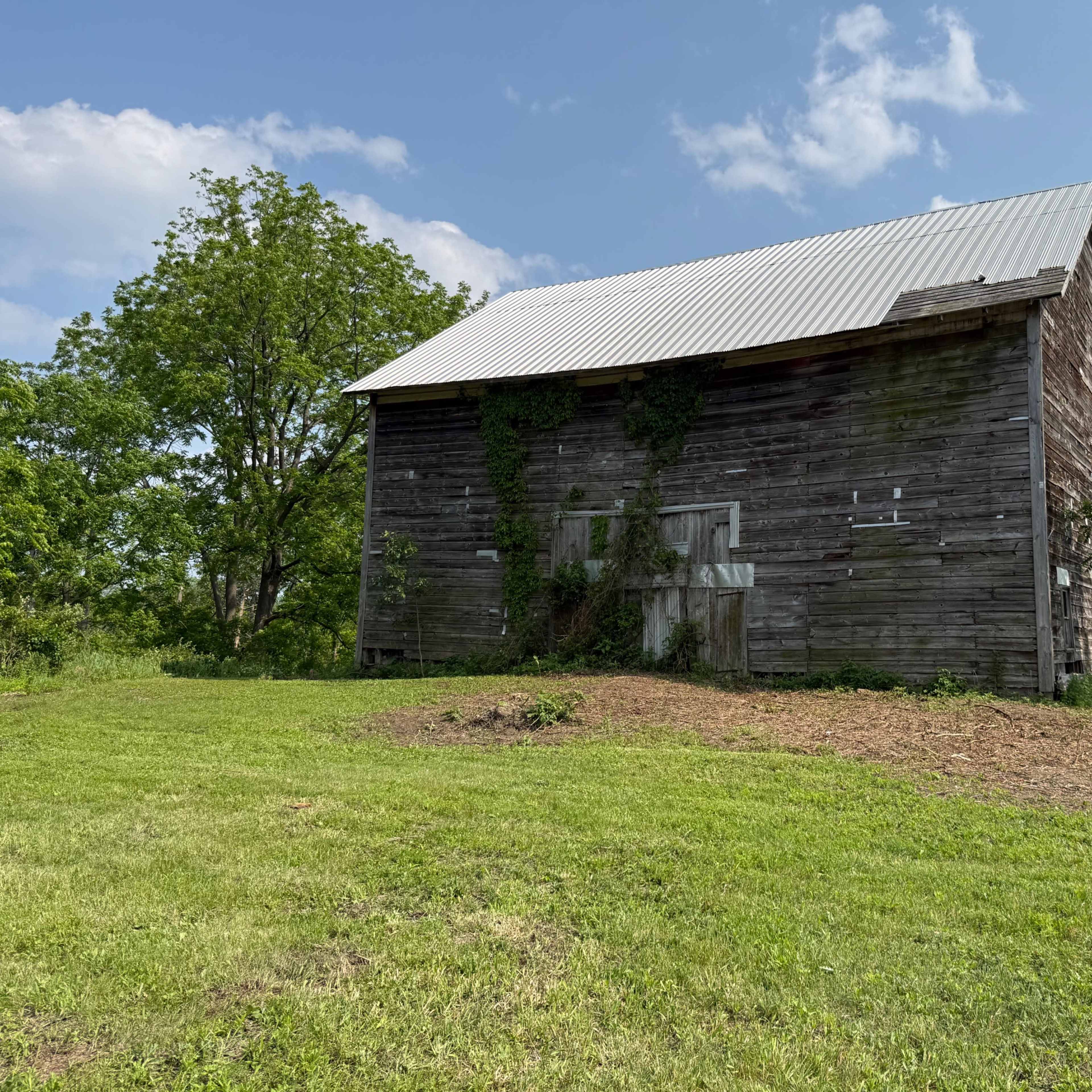Voorhees Valley Farm Image in New Scotland, Voorheesville, NY