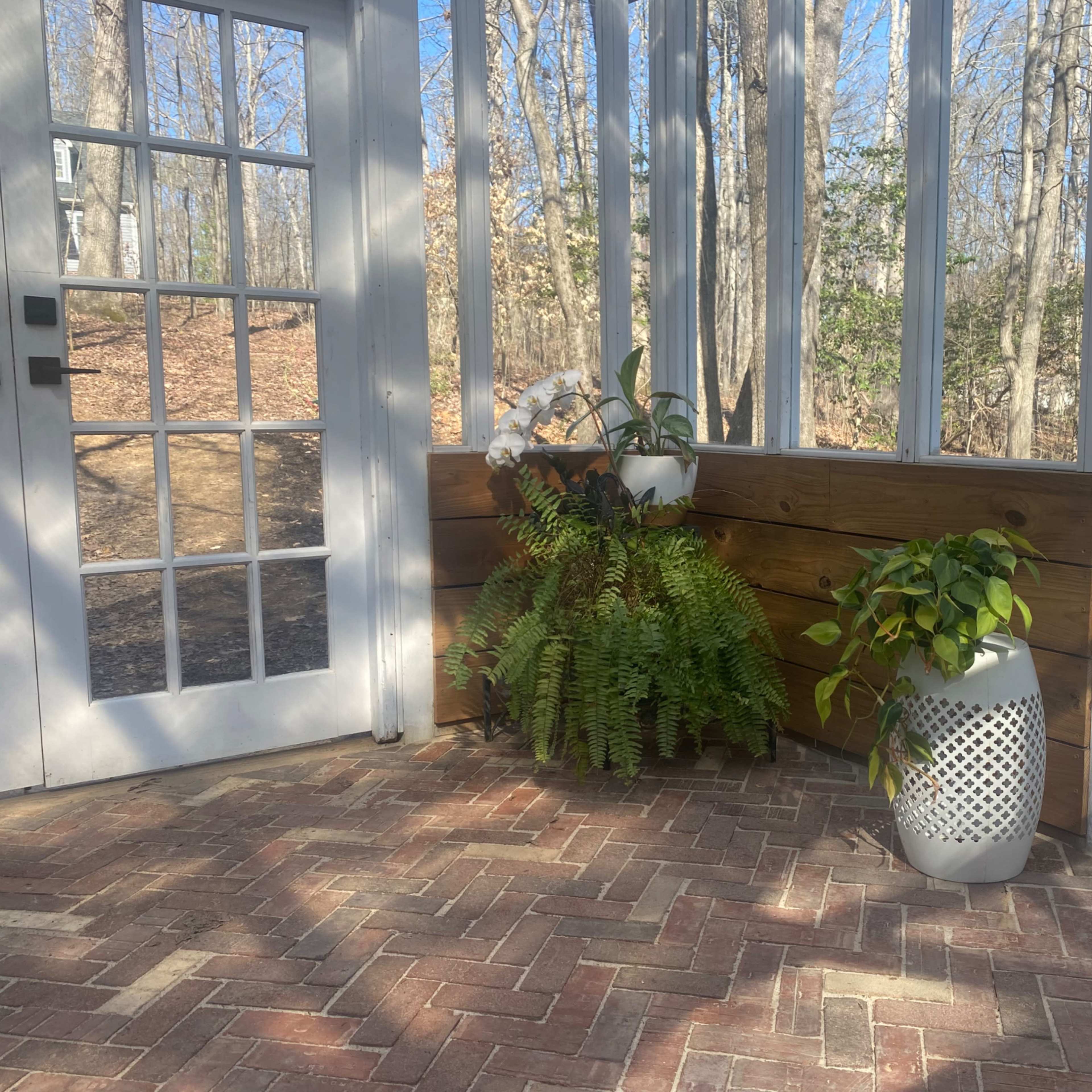 A sunlit corner of a screened porch featuring two potted plants beside a wooden wall and a set of double glass doors.