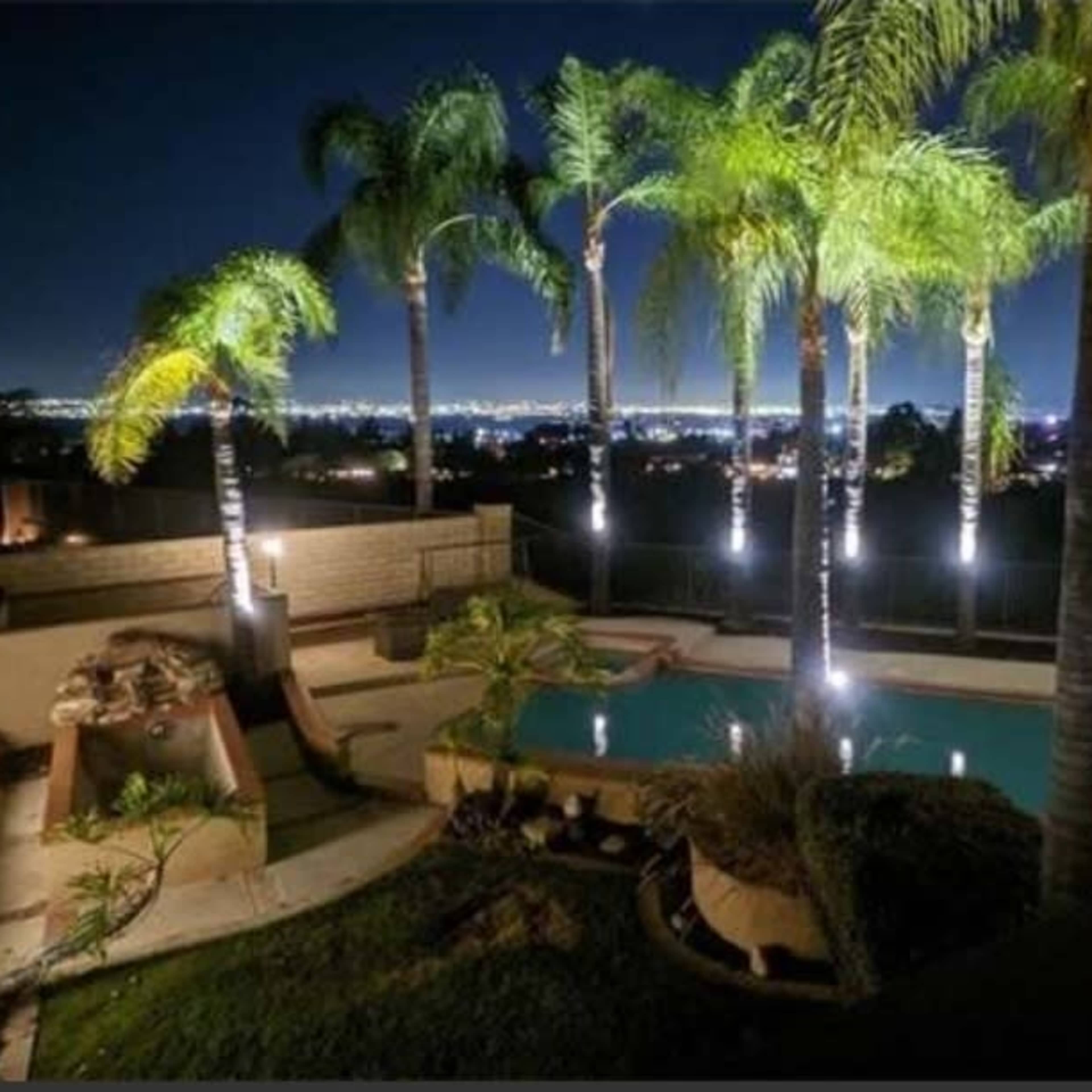 A backyard pool area surrounded by palm trees and illuminated by landscape lighting at night, with a view of a city skyline in the background.