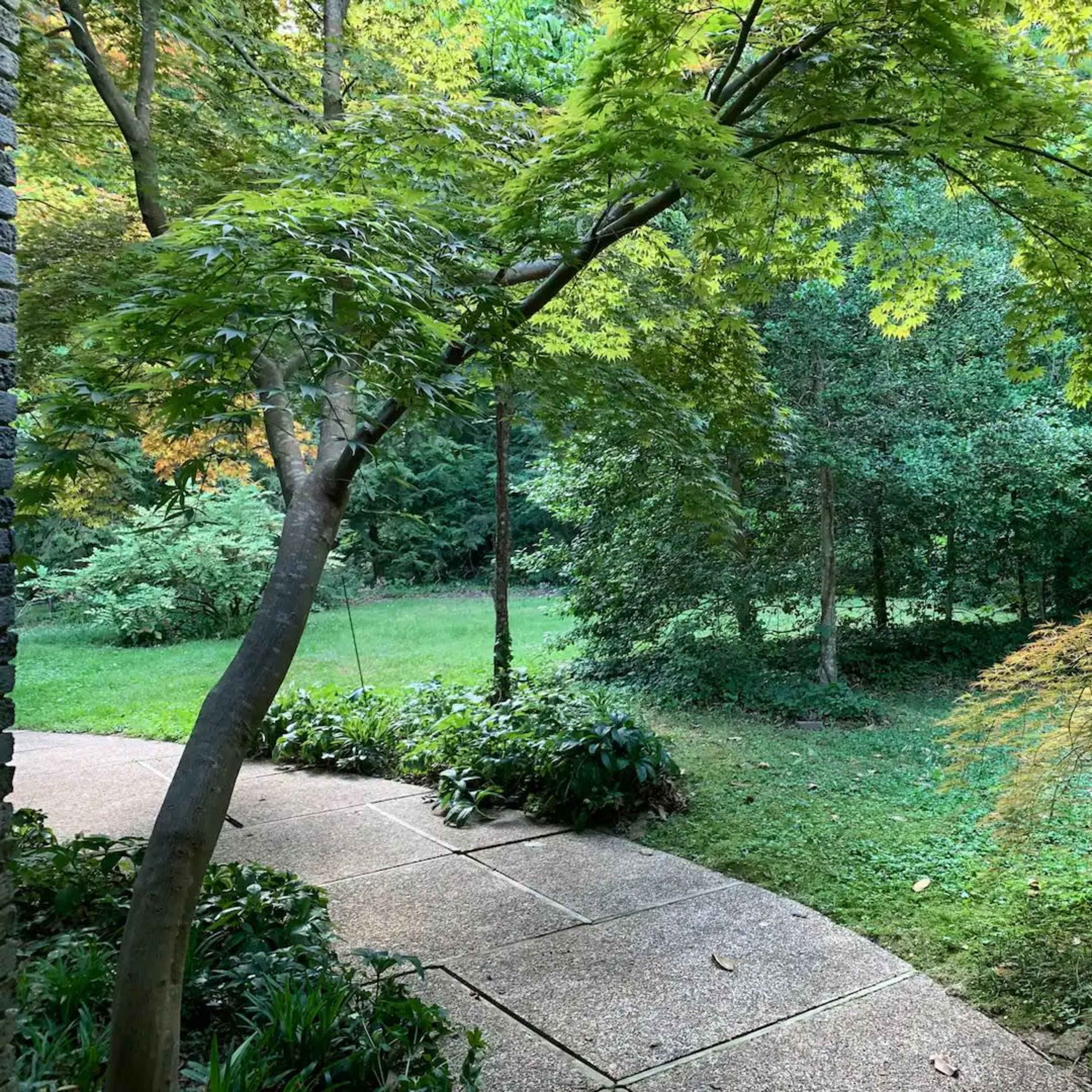 A stone pathway curves through a lush garden area with greenery and trees.
