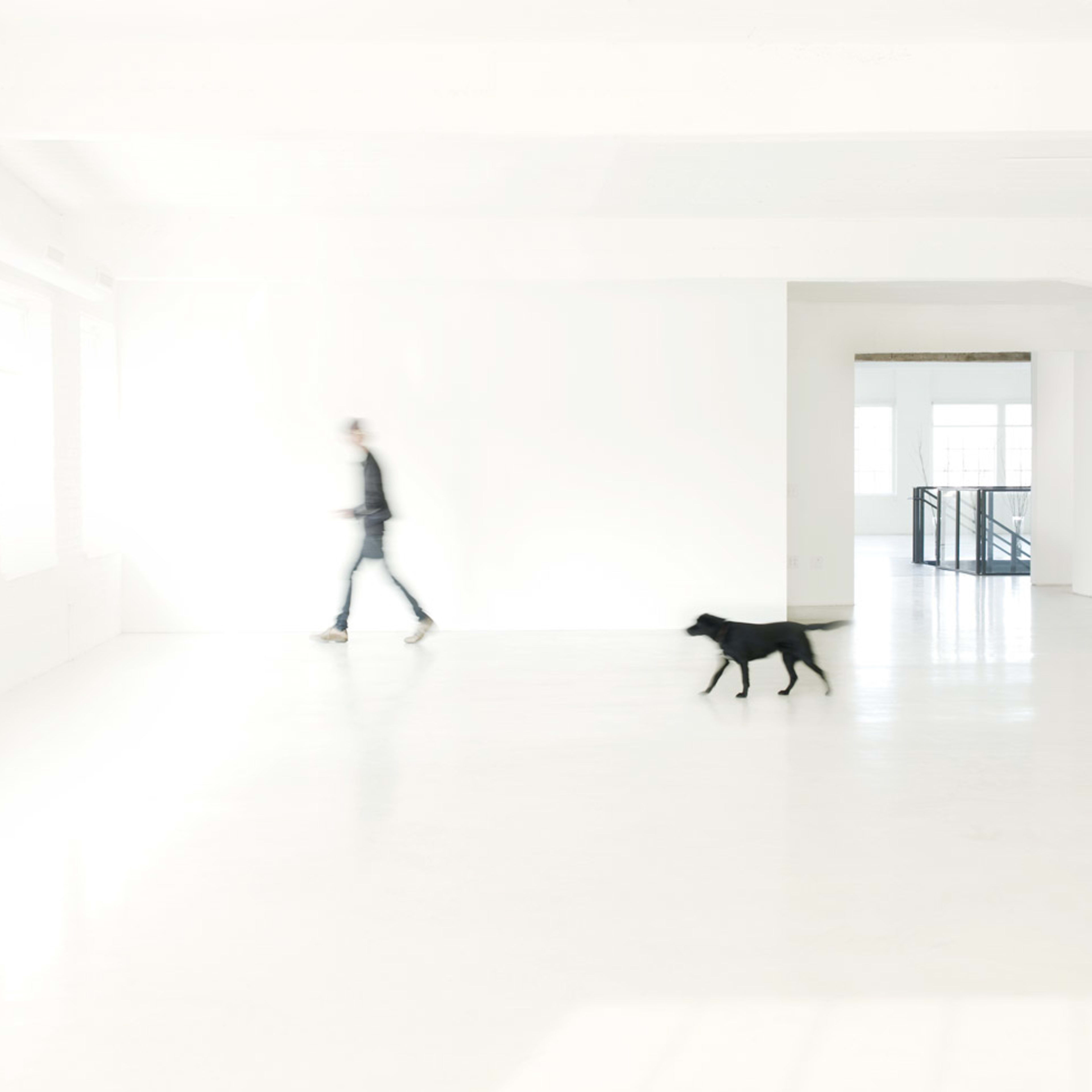 A person walks past a black dog in a bright, empty room with white walls and large windows.
