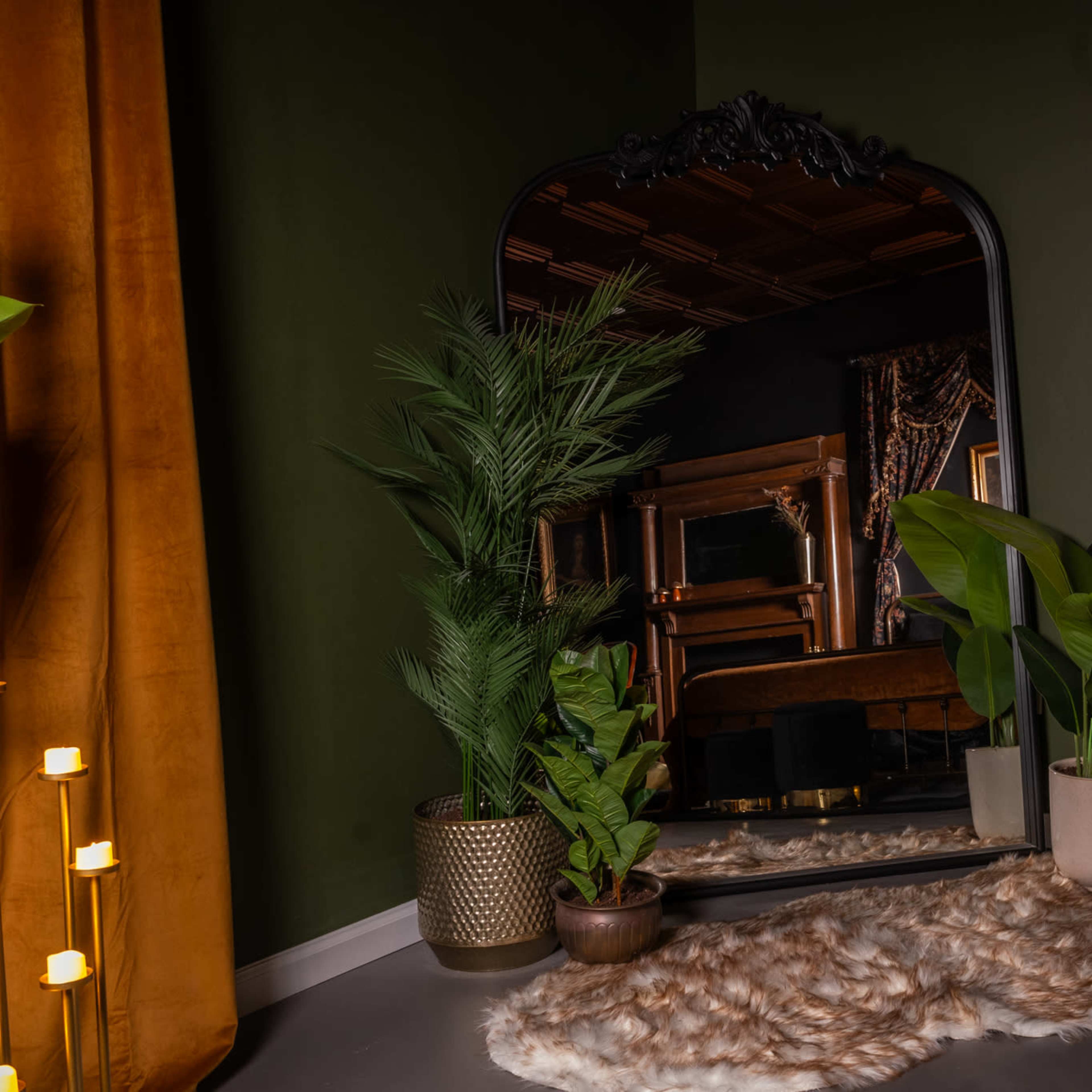 Vintage, Dark, Edgy Photography Studio With "Old Money" Feel Image in Northwest, Virginia Beach, VA