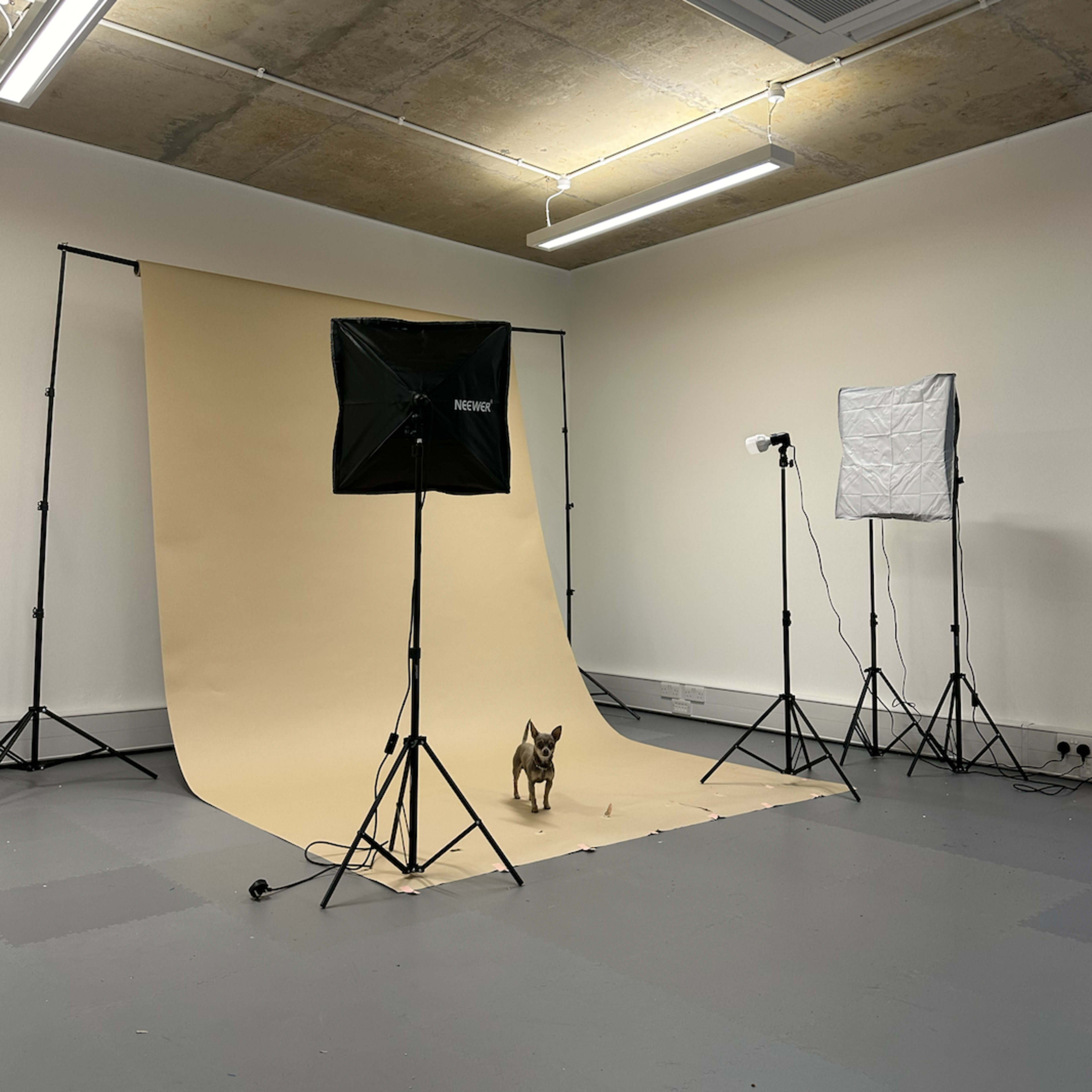 GMA Studios : Chic, stylish, roomy, daylight studio Image in Islington, London, England