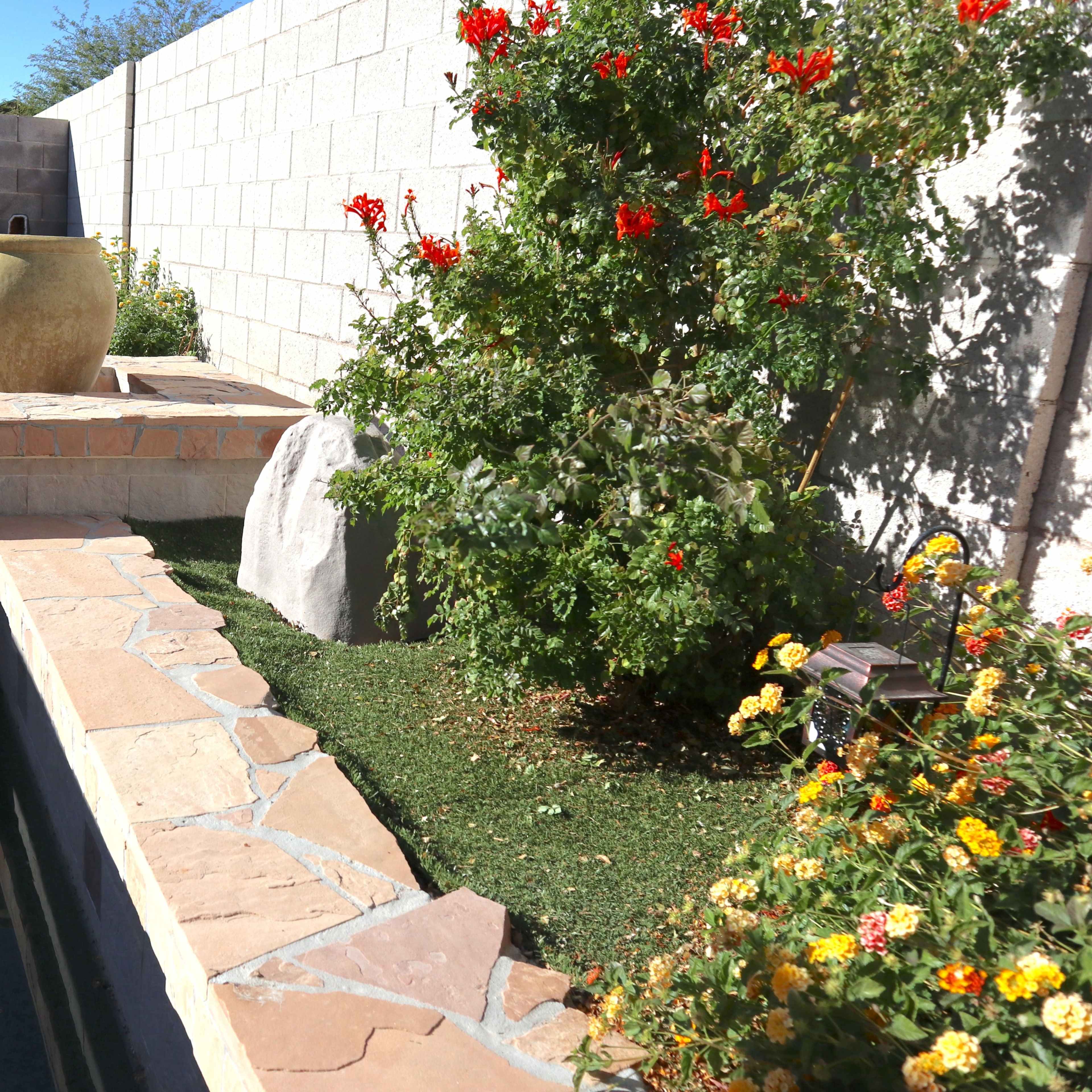 A landscaped backyard with a stone border, a swimming pool, a decorative pottery urn, and flowering plants.