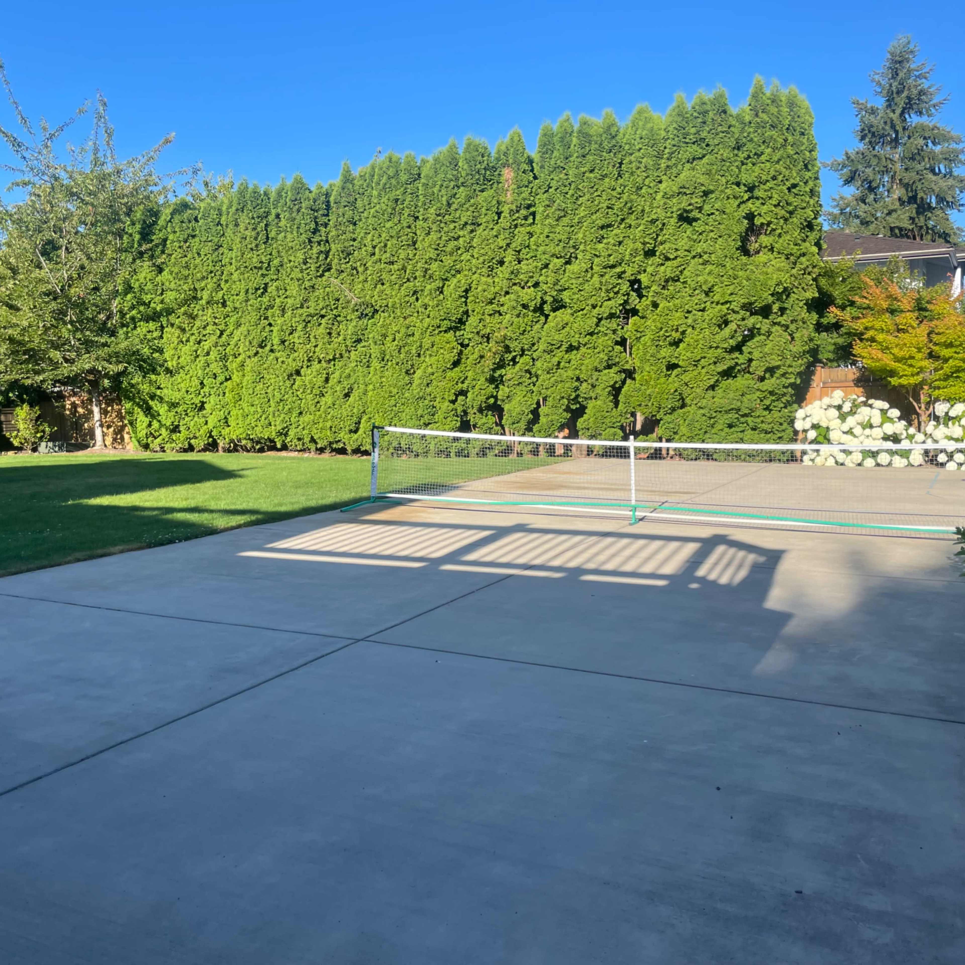 A concrete area with a tennis net stands in an open space surrounded by tall green hedges and a few trees.