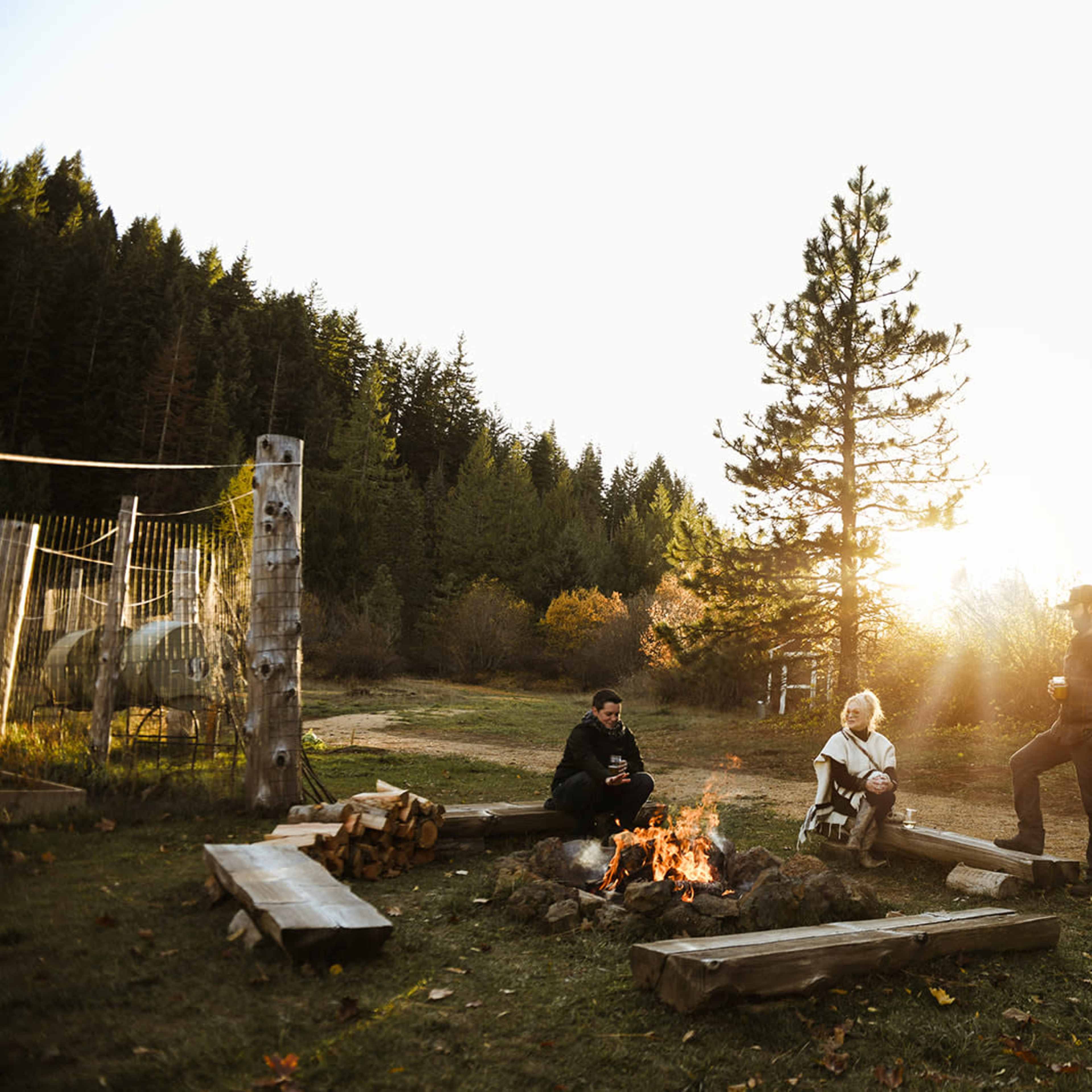 Three people sit around a campfire in a forested area at sunset, with trees and autumn foliage in the background.