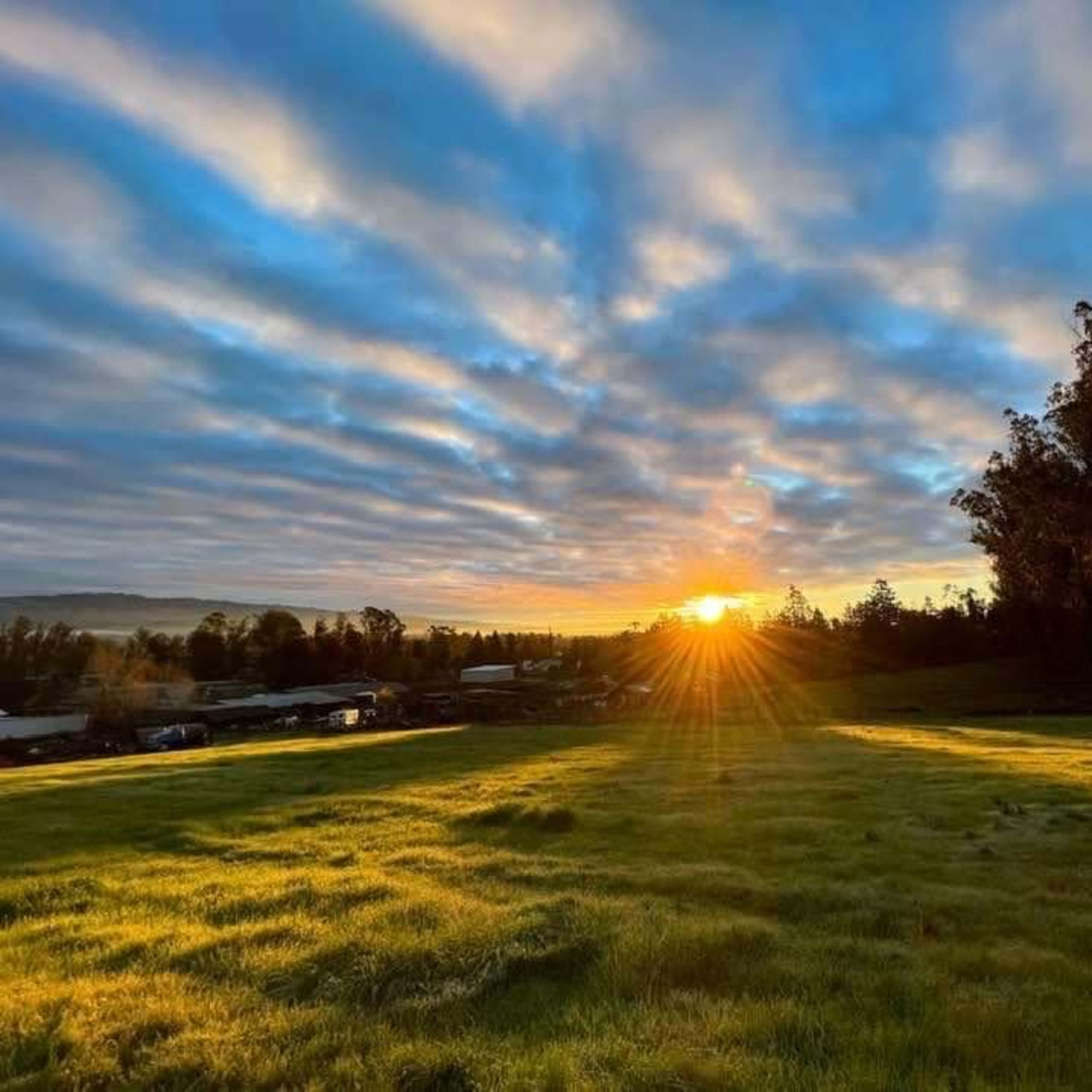 The sun sets behind a line of trees, casting rays of light over a grassy field.