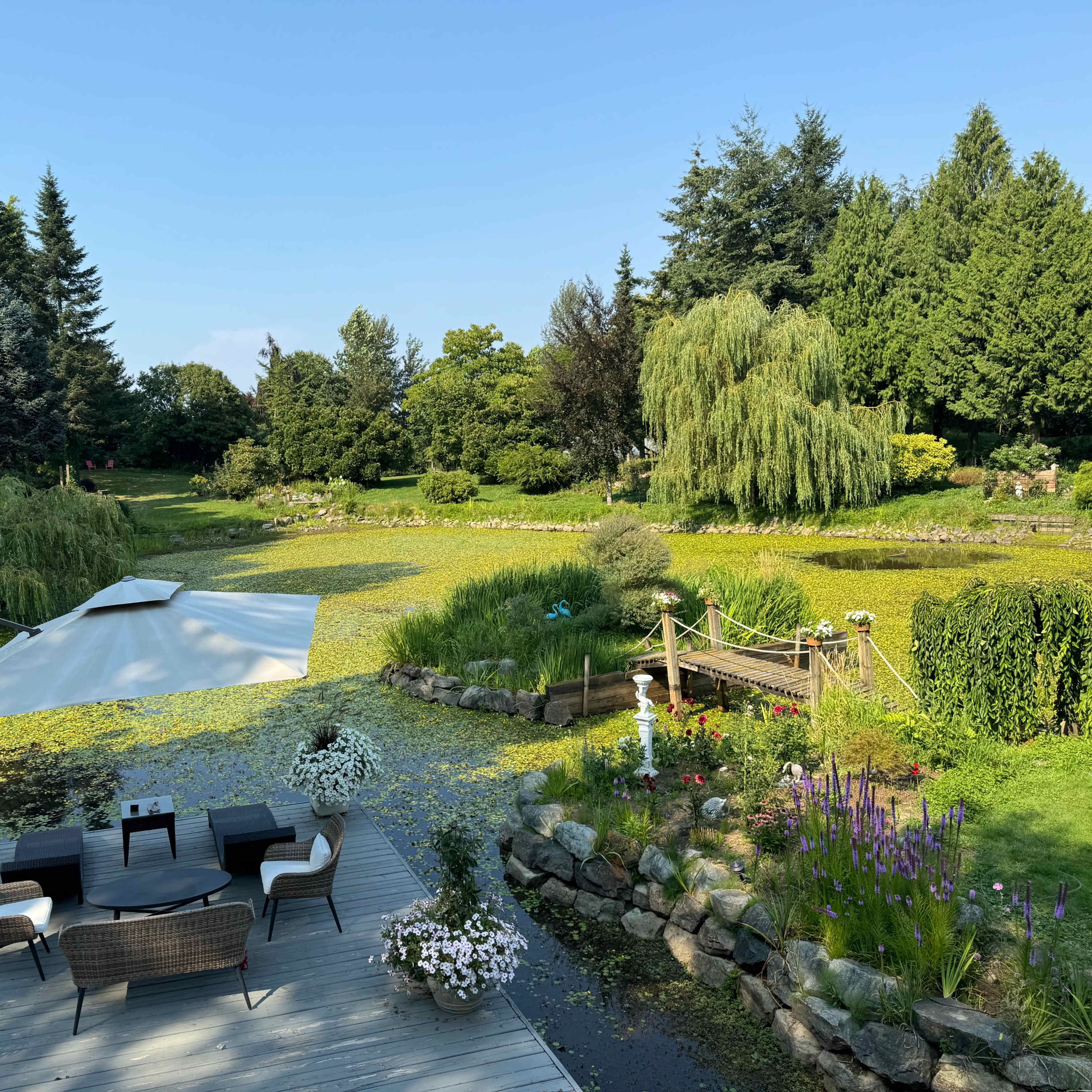 Serene Private Garden & Pond Oasis with Rustic Charm Image in Langley, Langley Township, BC