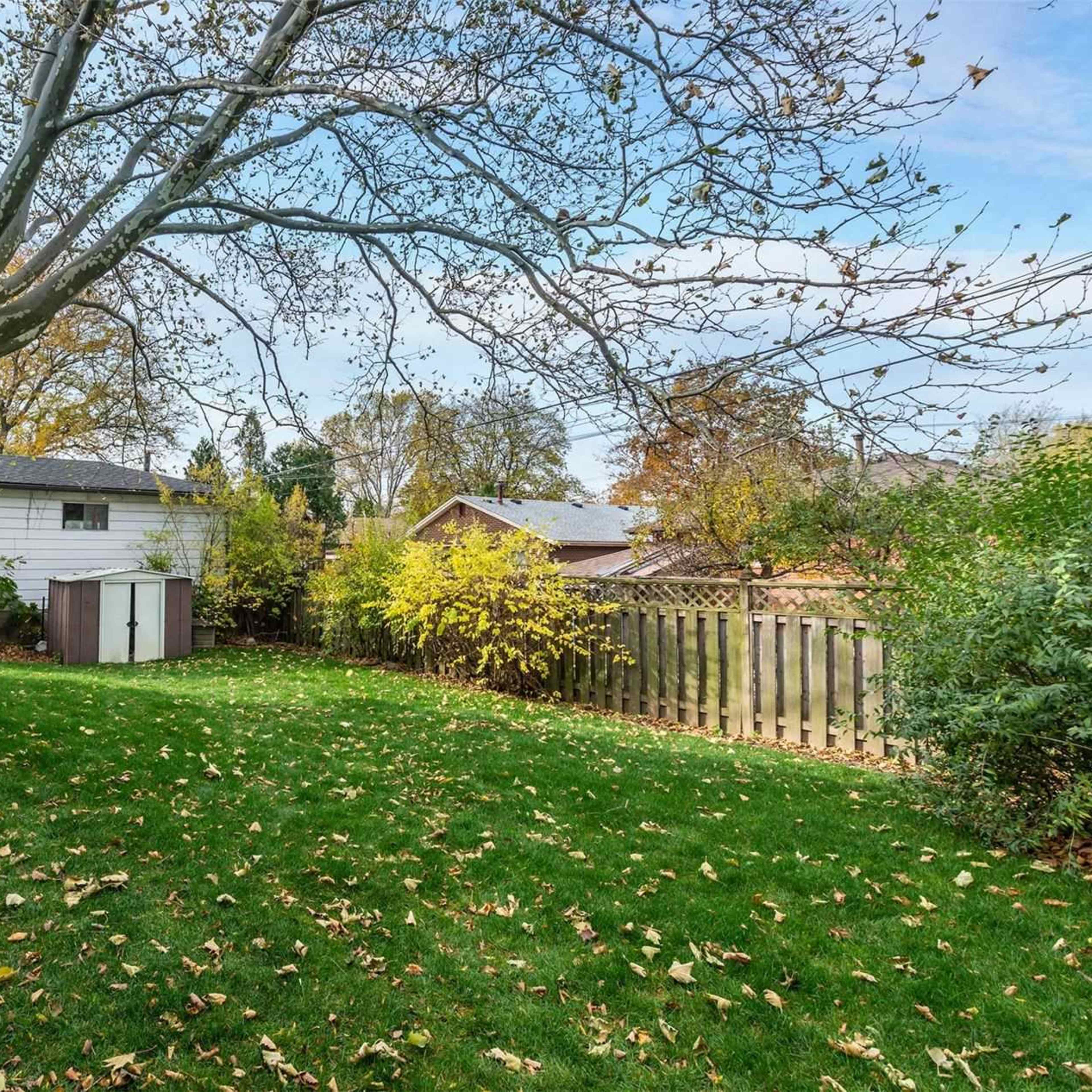 A backyard with a green lawn, a shed, and trees with scattered leaves, bordered by wooden fencing and neighboring houses.