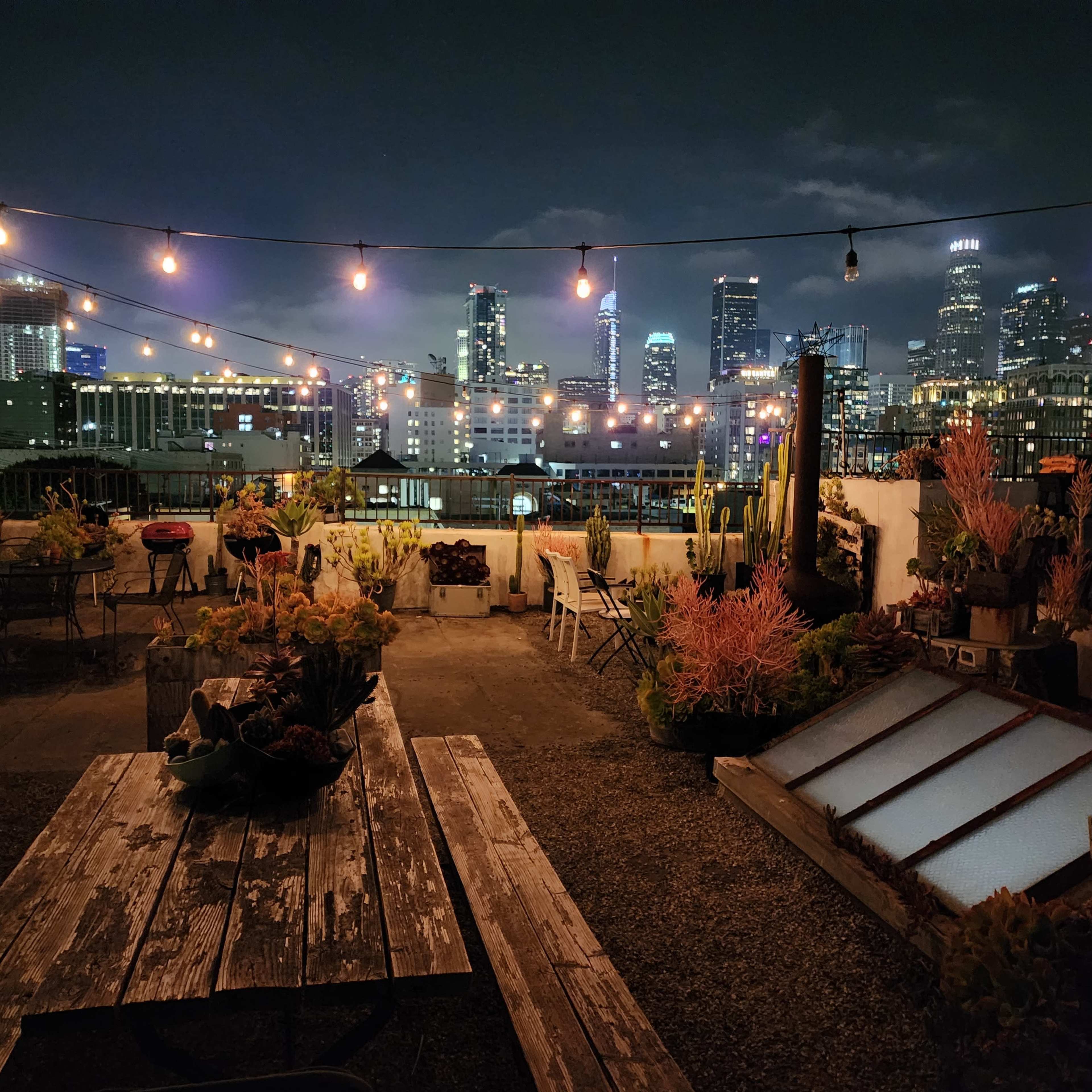 A rooftop garden with string lights and various plants overlooks a city skyline at night.