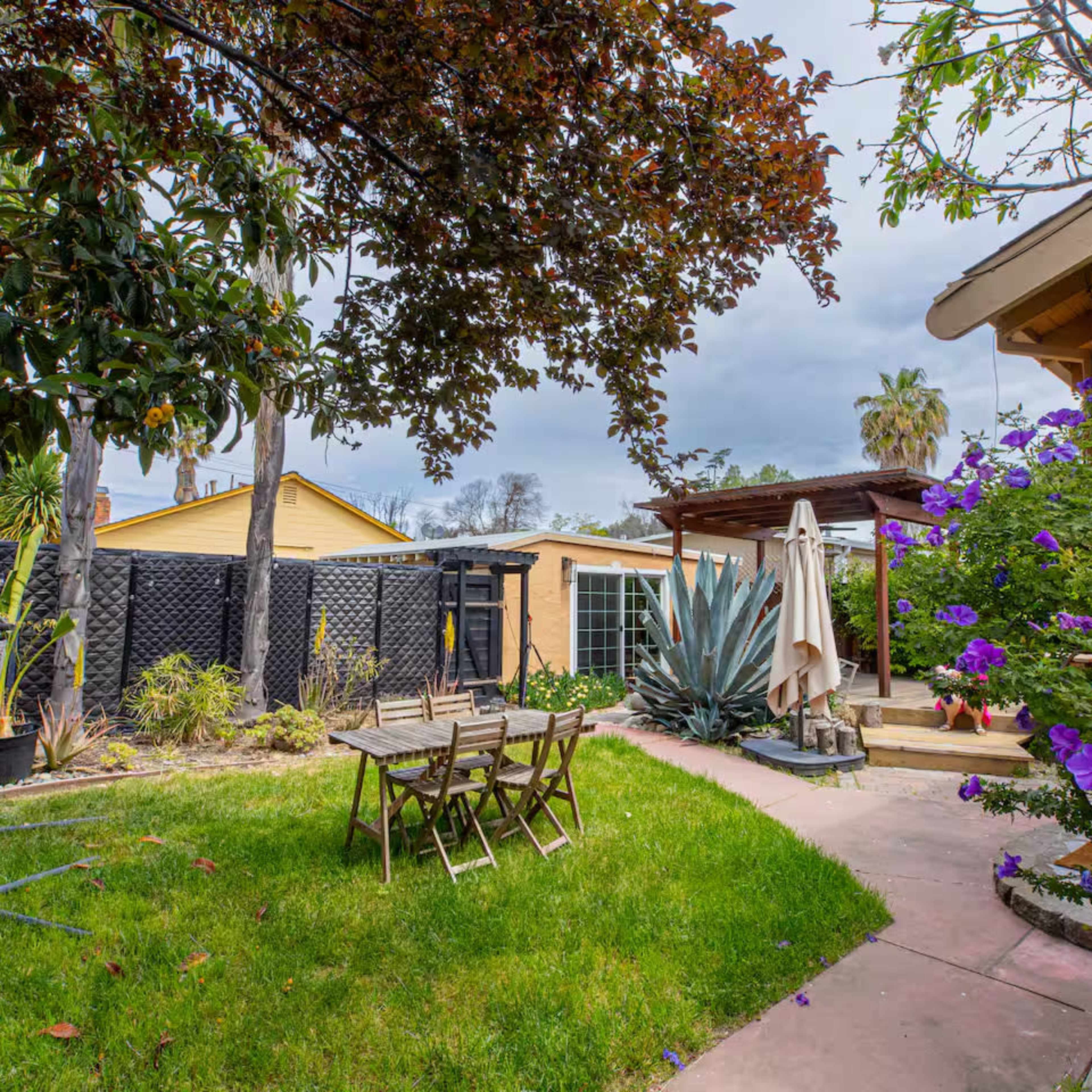 Modern House with Botanic Garden Image in Central San Jose, San Jose, CA