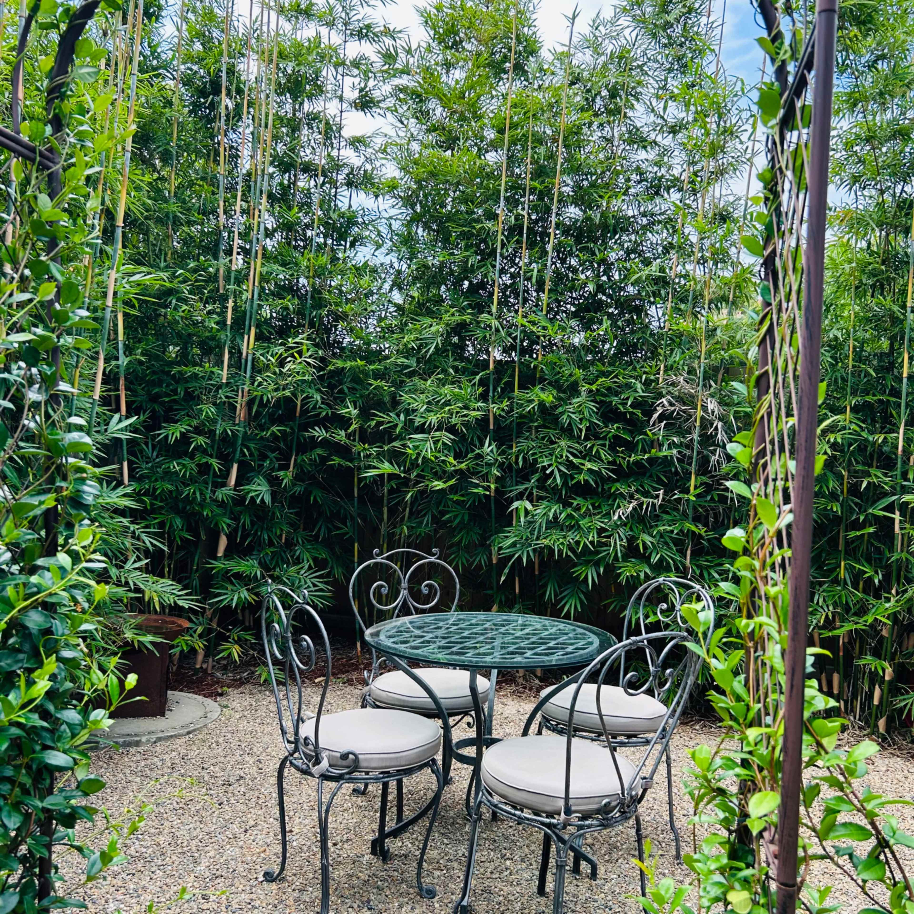 A metal table with four cushioned chairs is positioned on gravel underneath an archway surrounded by tall bamboo plants.