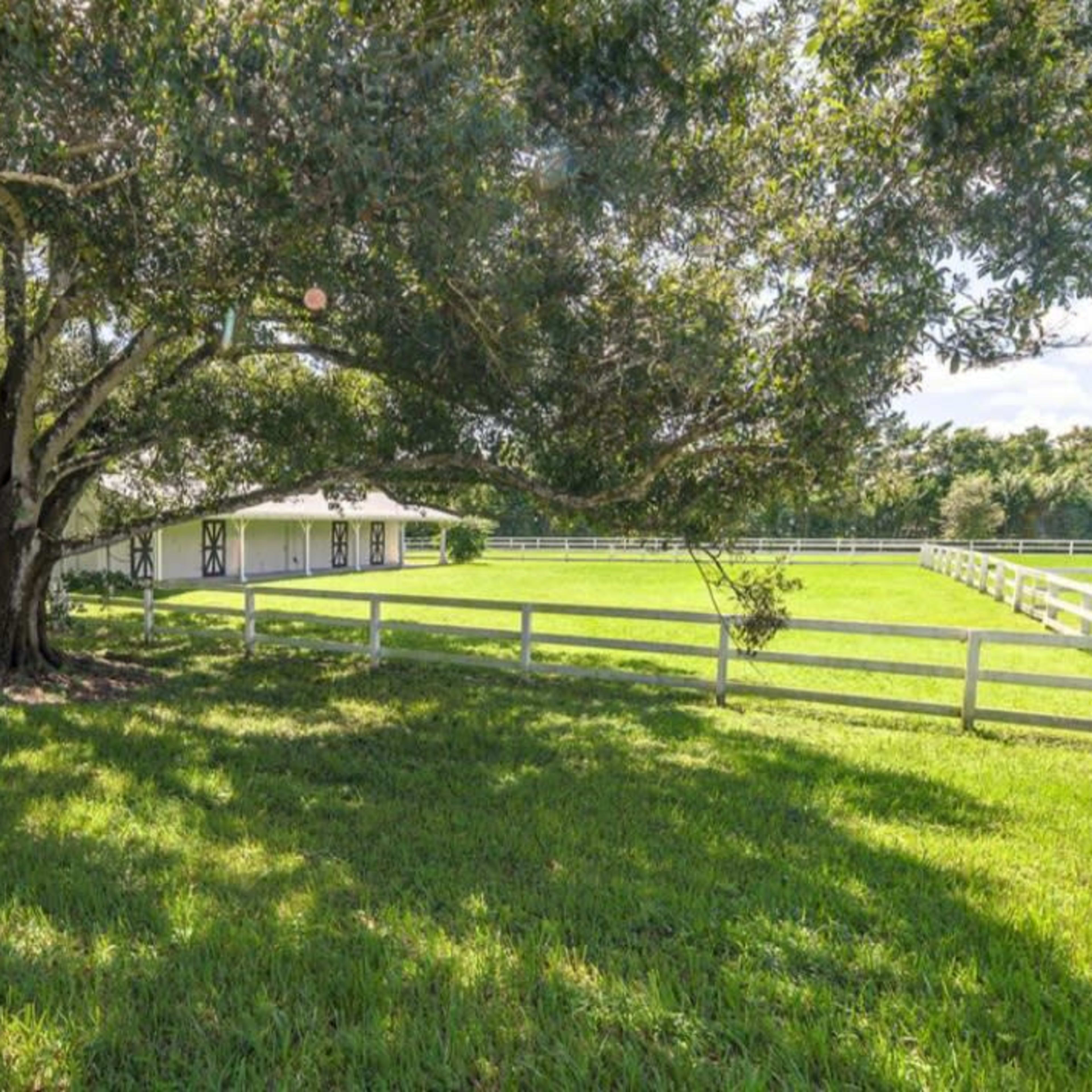 A large tree casts shade over a grassy area beside a white barn surrounded by a fence.