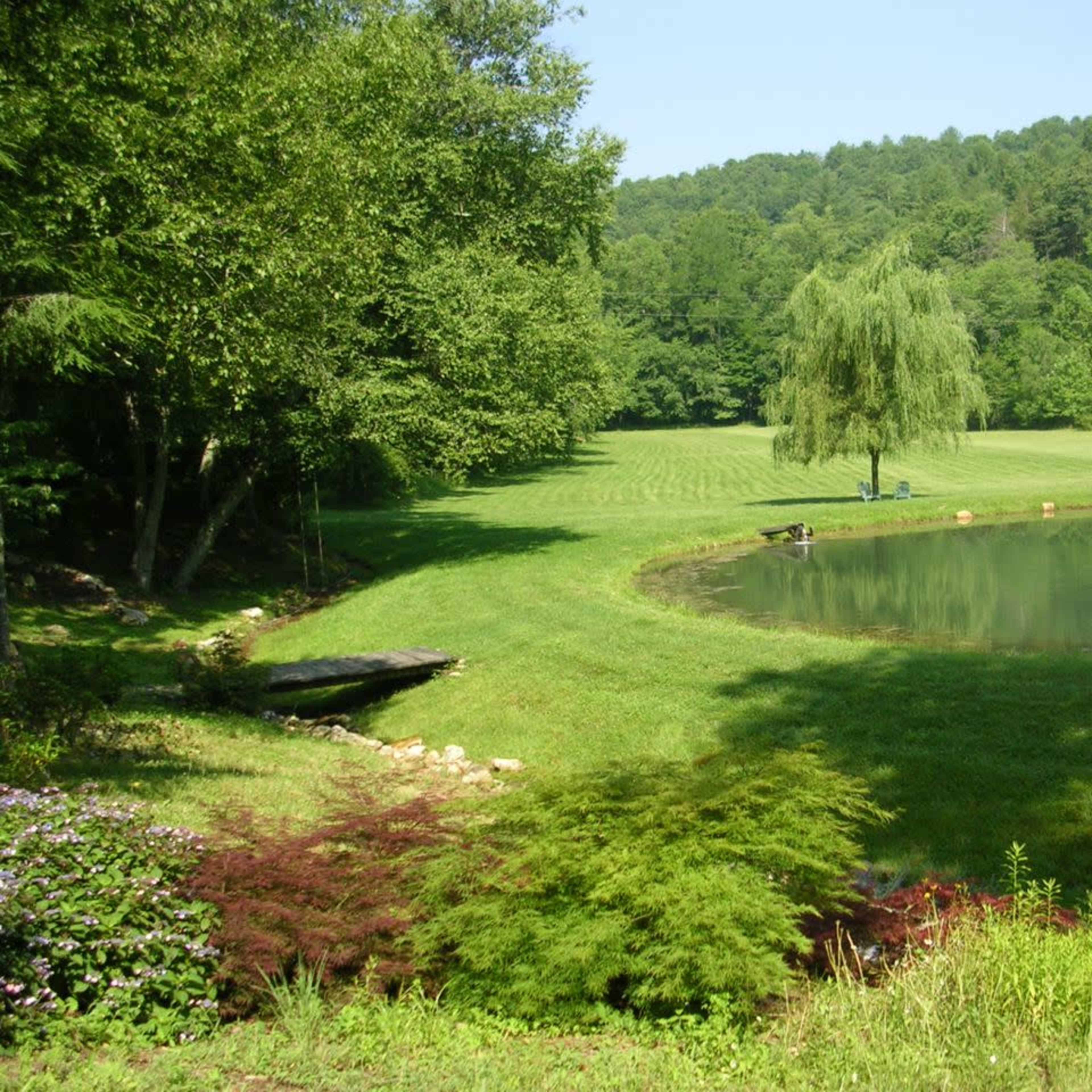 Creekside Pasture with Pond Surrounded by Mountains Image in , Cherry Log, GA