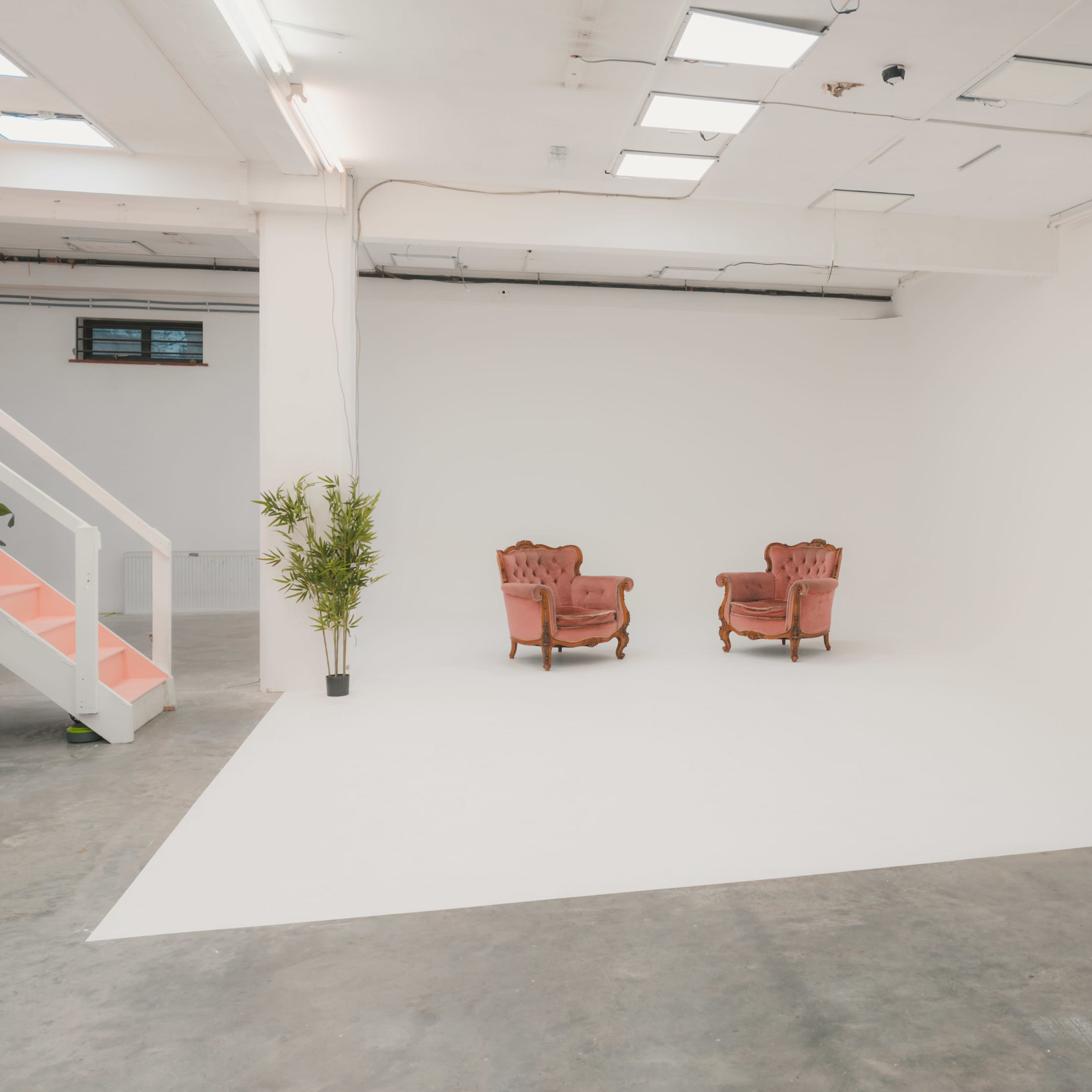 A minimalist studio space with two vintage armchairs and a potted plant against a white backdrop.