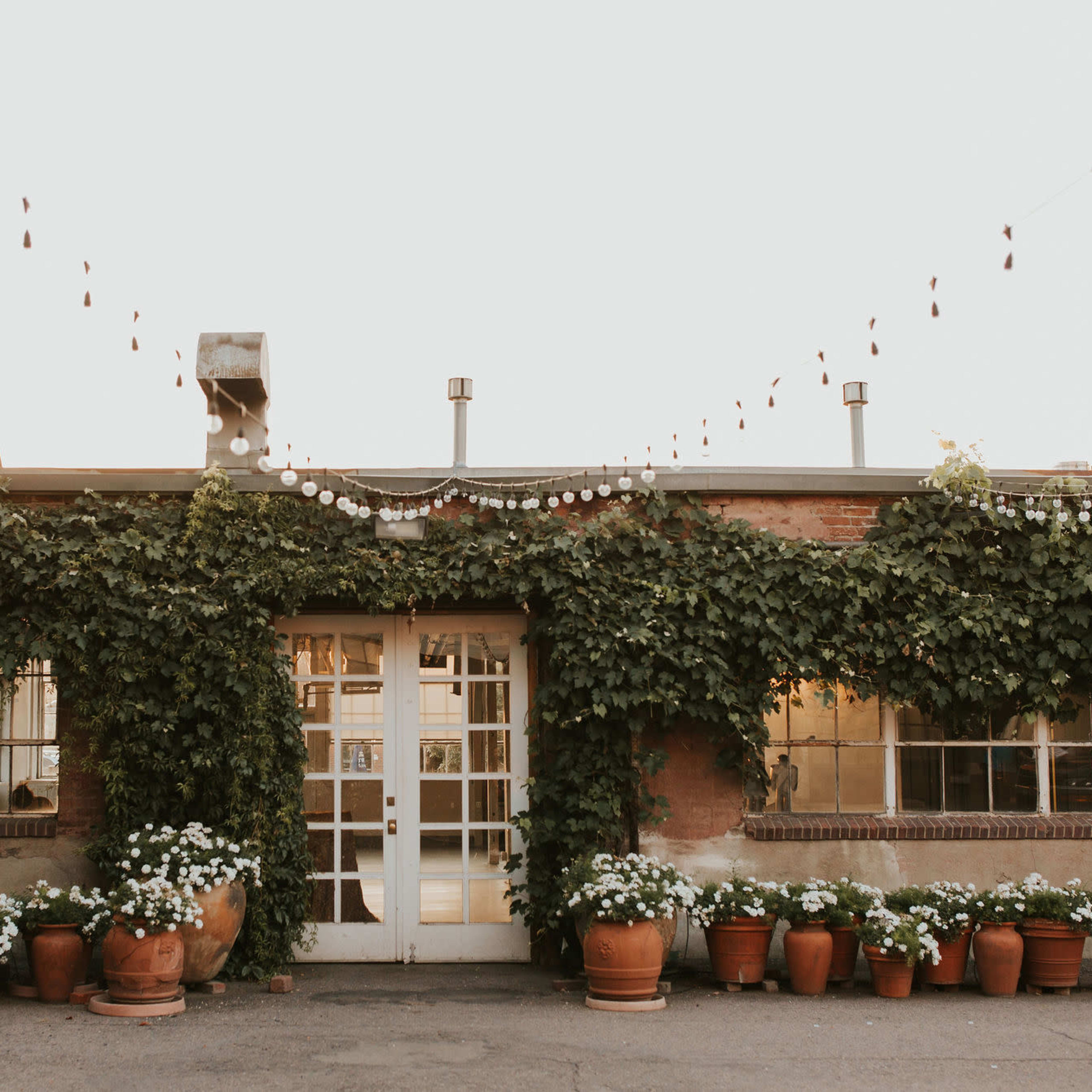 A rustic building adorned with lush green vines and potted white flowers along the entrance, under a string of decorative lights.