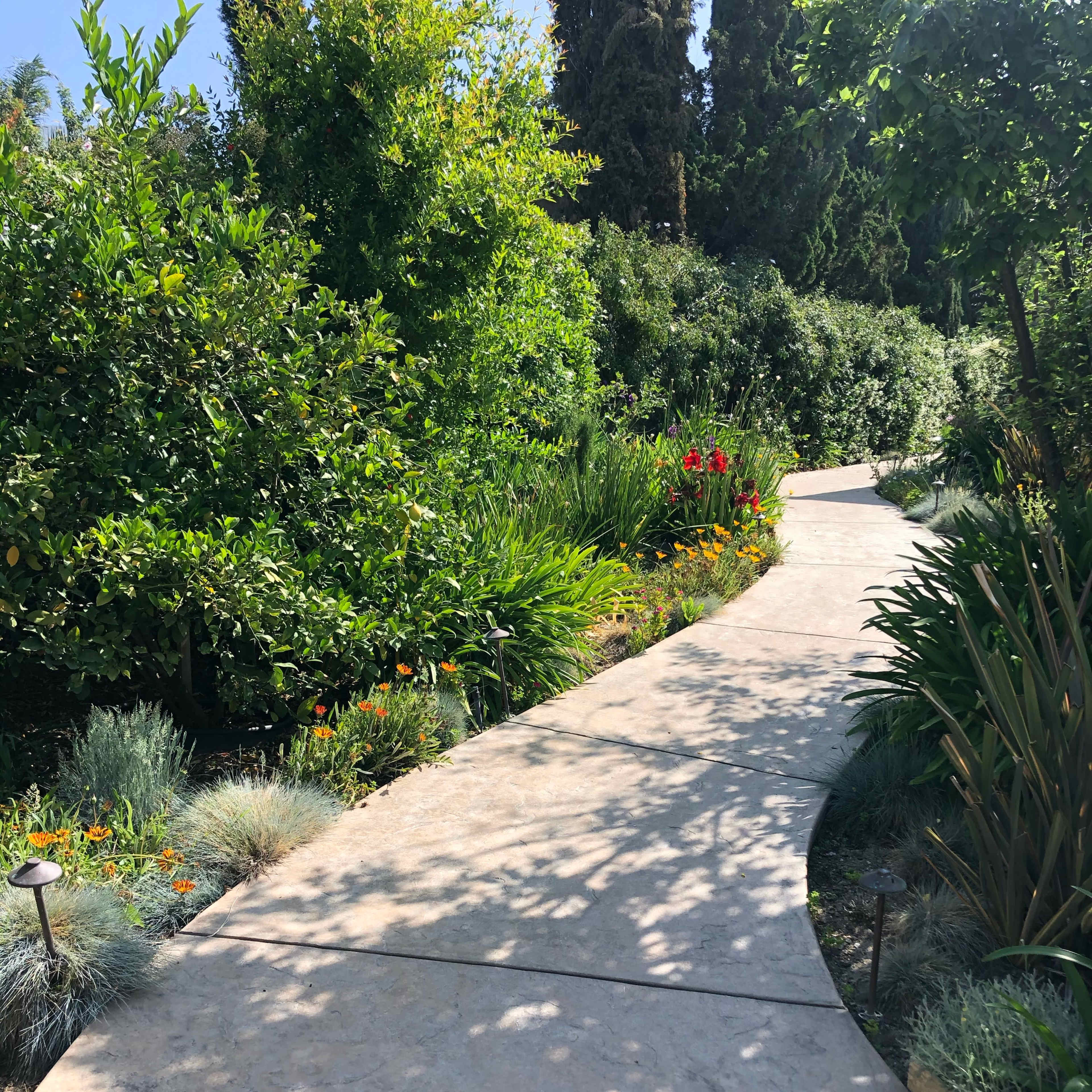 A curved concrete path winds through lush greenery and colorful flowers.