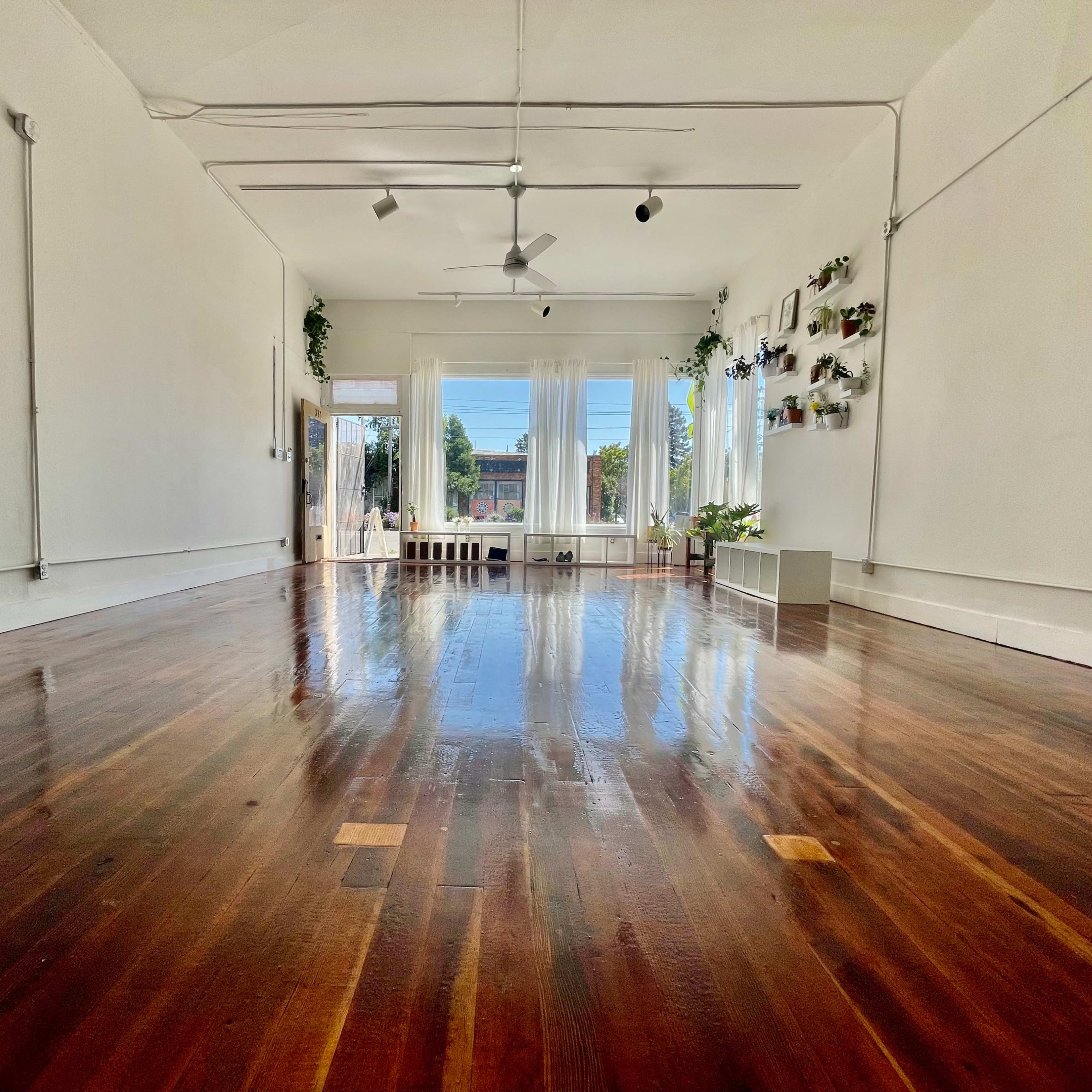 A spacious, well-lit room with polished wooden floors, large windows, and plants along the walls.