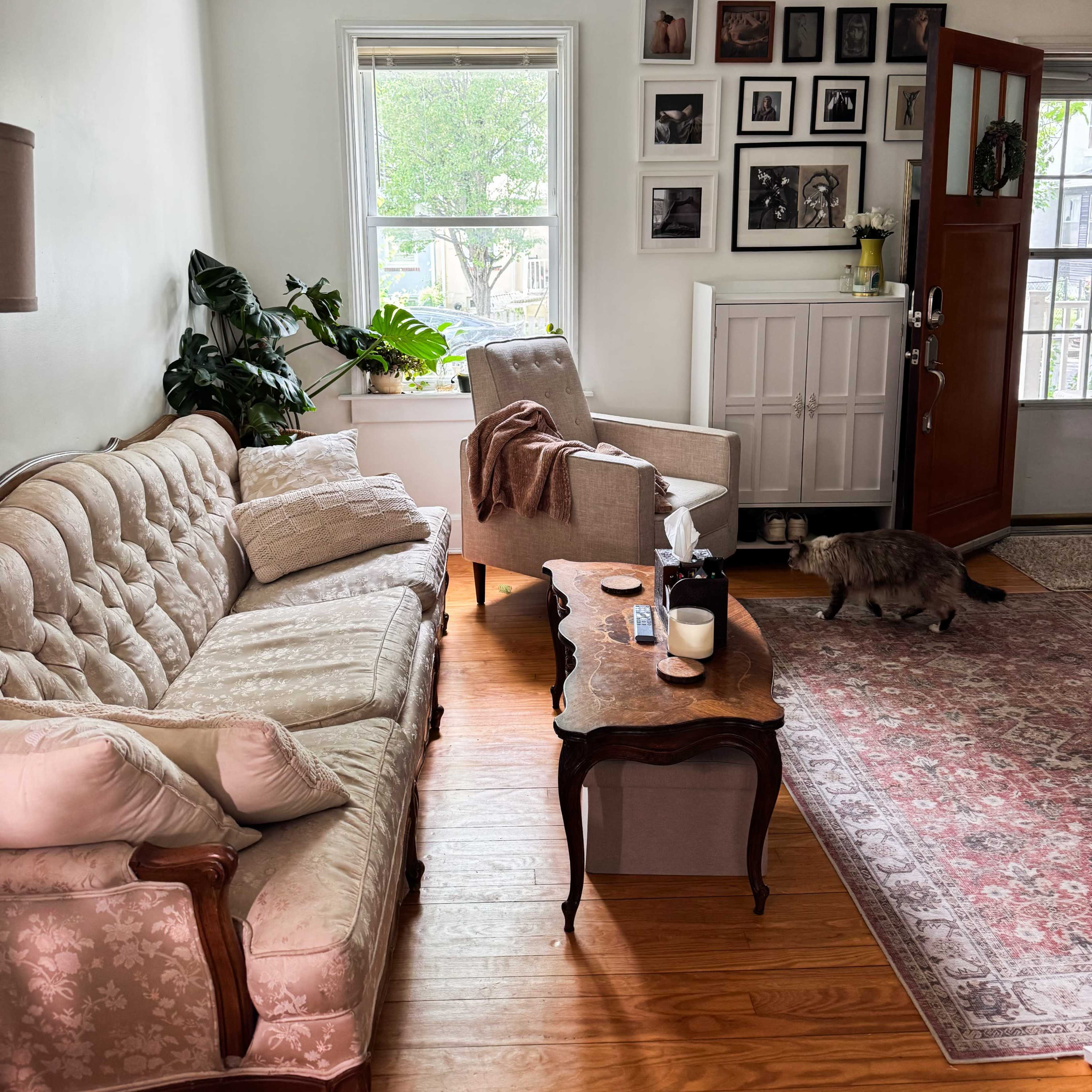 Natural Light in Vintage Townhome Image in Dundalk, Dundalk, MD