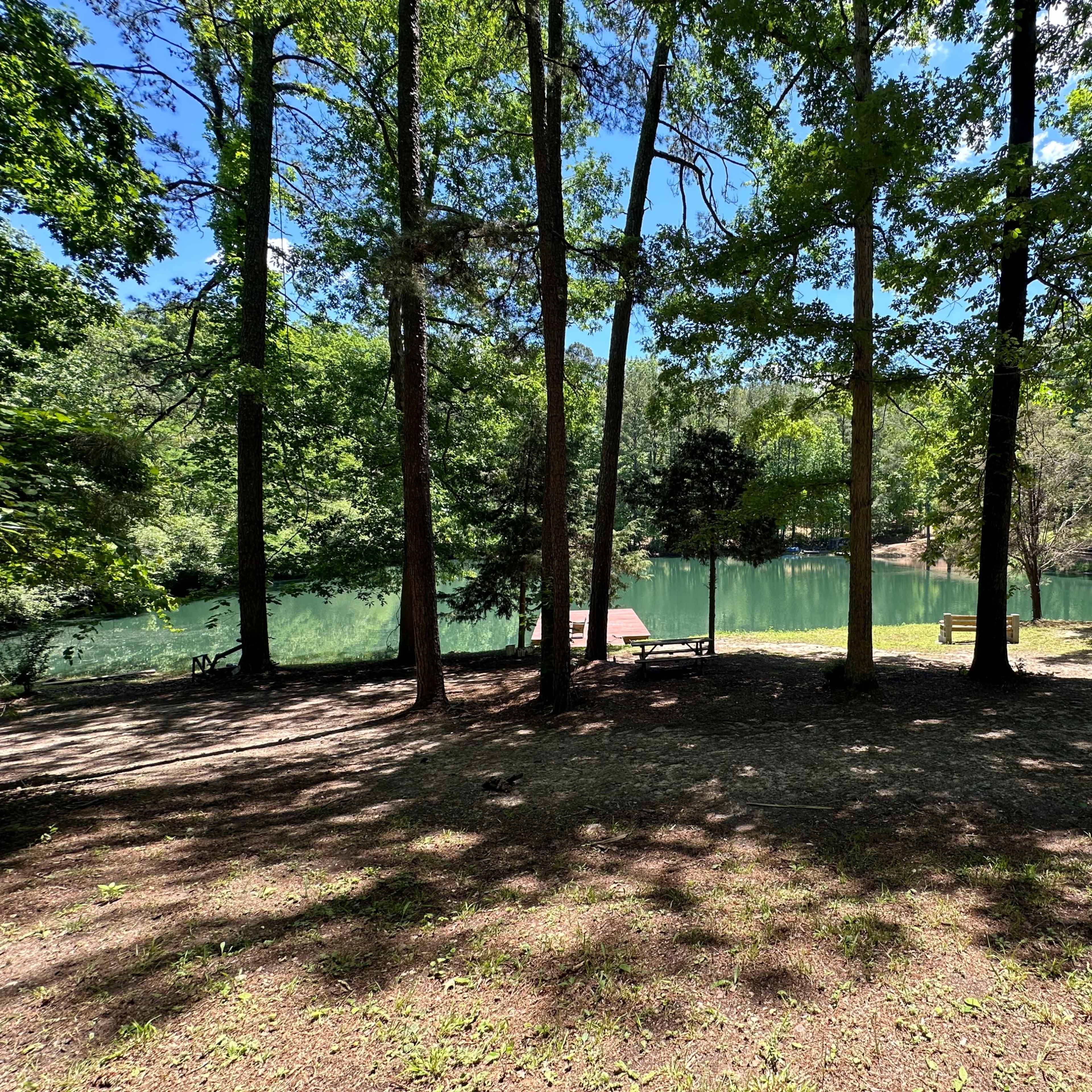 A tranquil scene featuring a pond surrounded by trees, with benches positioned along the shoreline.
