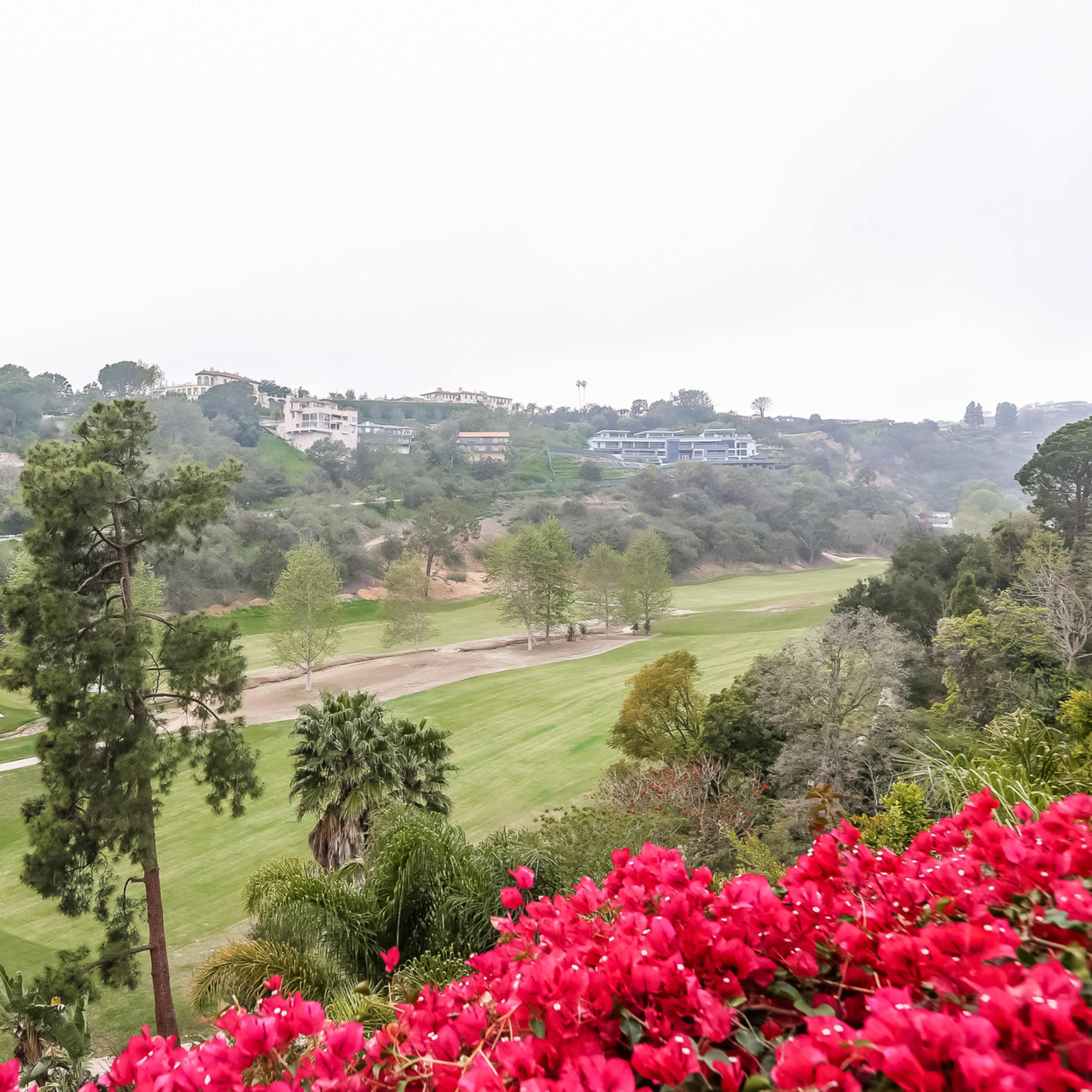 A golf course with landscaped greenery, a pathway, and residential buildings in the background is framed by blooming pink flowers in the foreground.