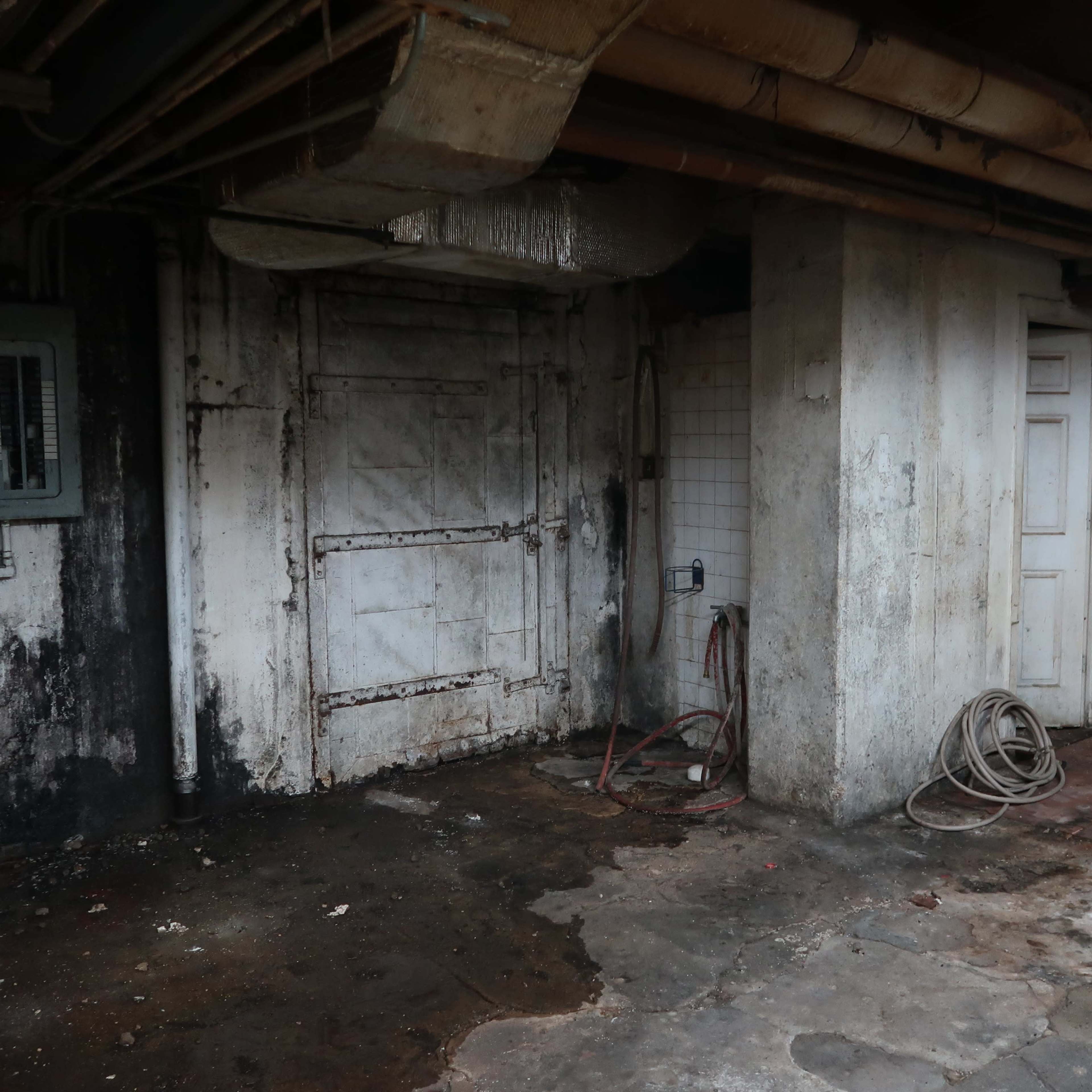 A dimly lit basement area with peeling white walls, a couple of doors, and water stains on the floor.