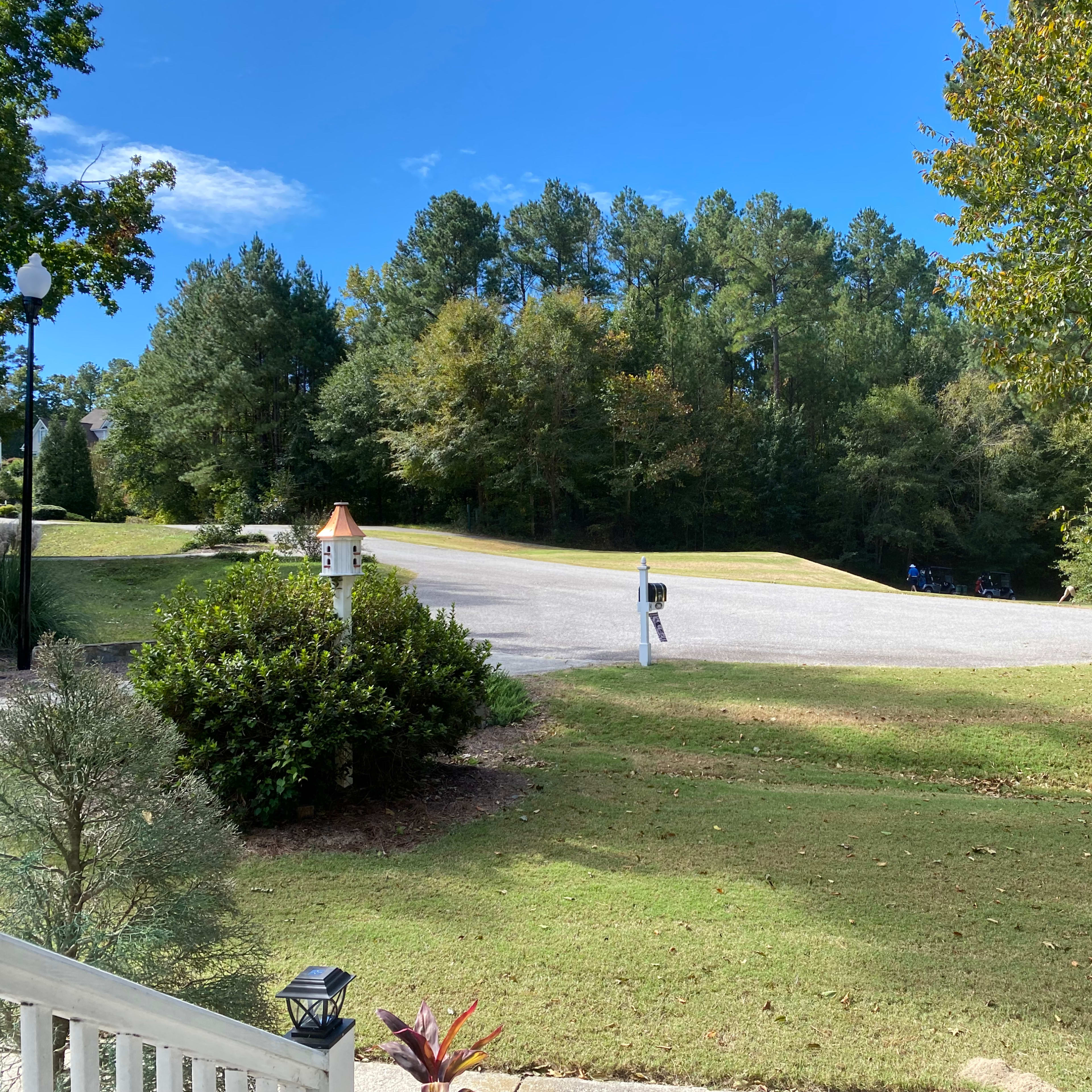 A clear, open area with a gravel driveway surrounded by trees and grass.