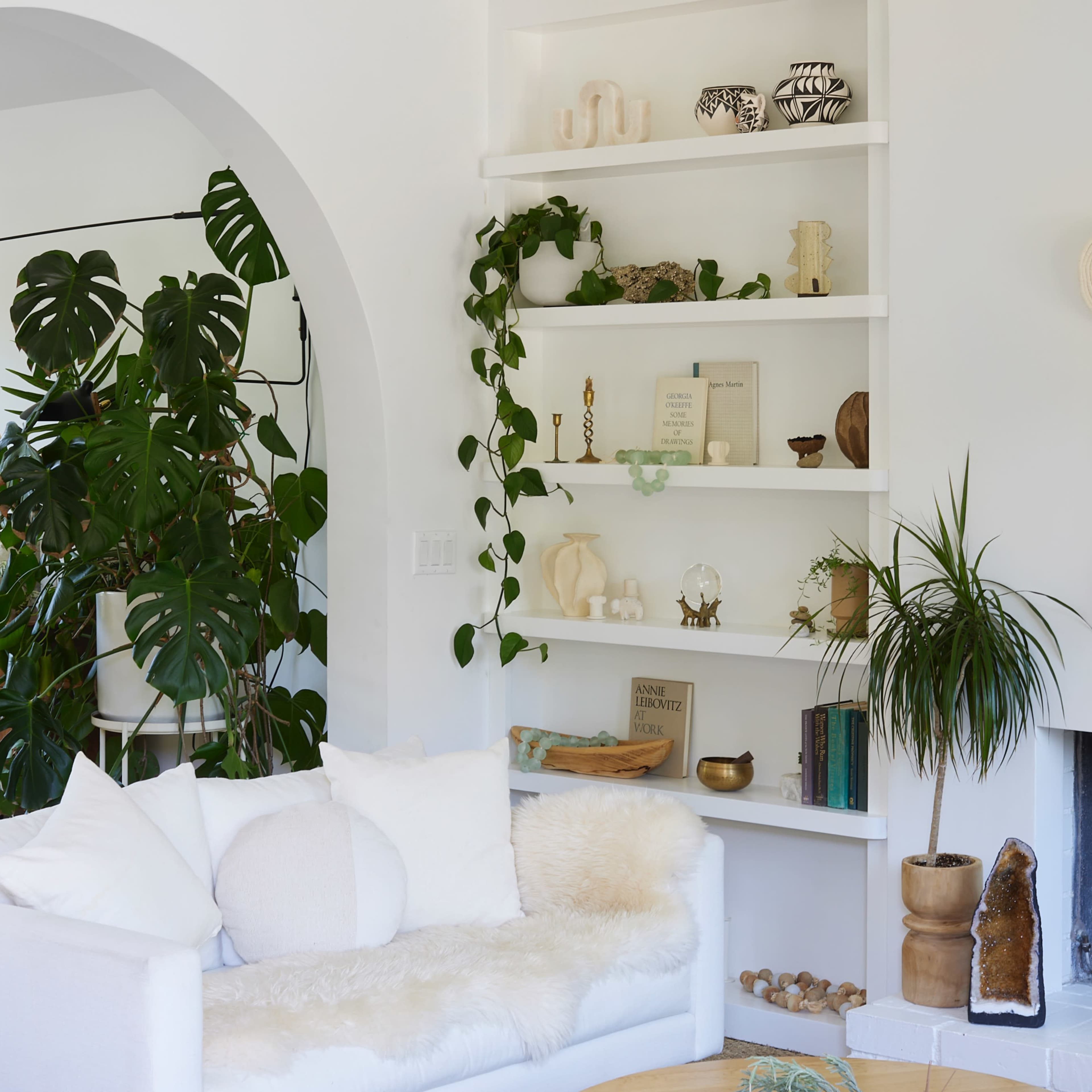 A modern living room with a white couch, a bookshelf filled with decorative items, and indoor plants enhancing the space.