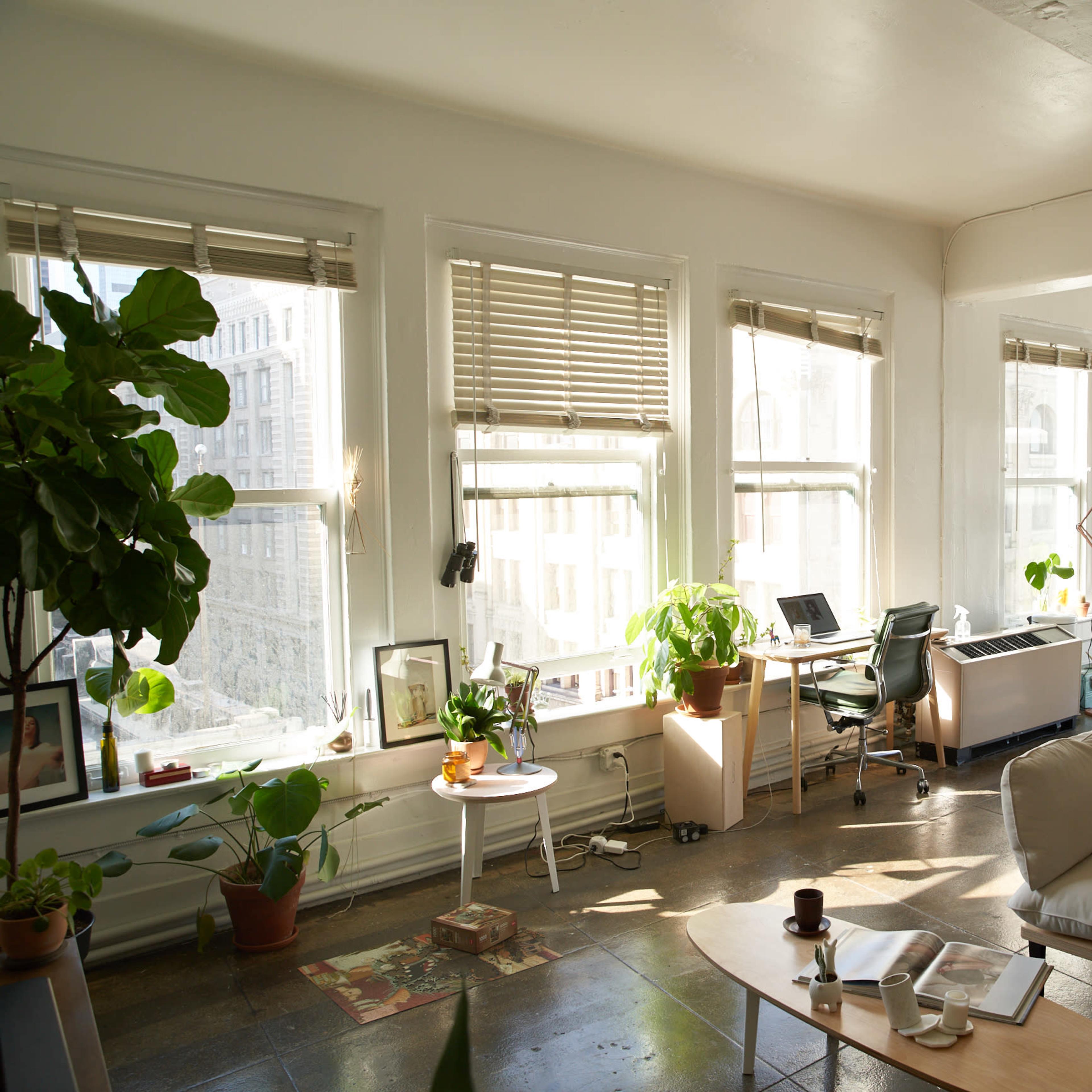 A bright and airy apartment features large windows, plants, a beige couch, and a work desk.