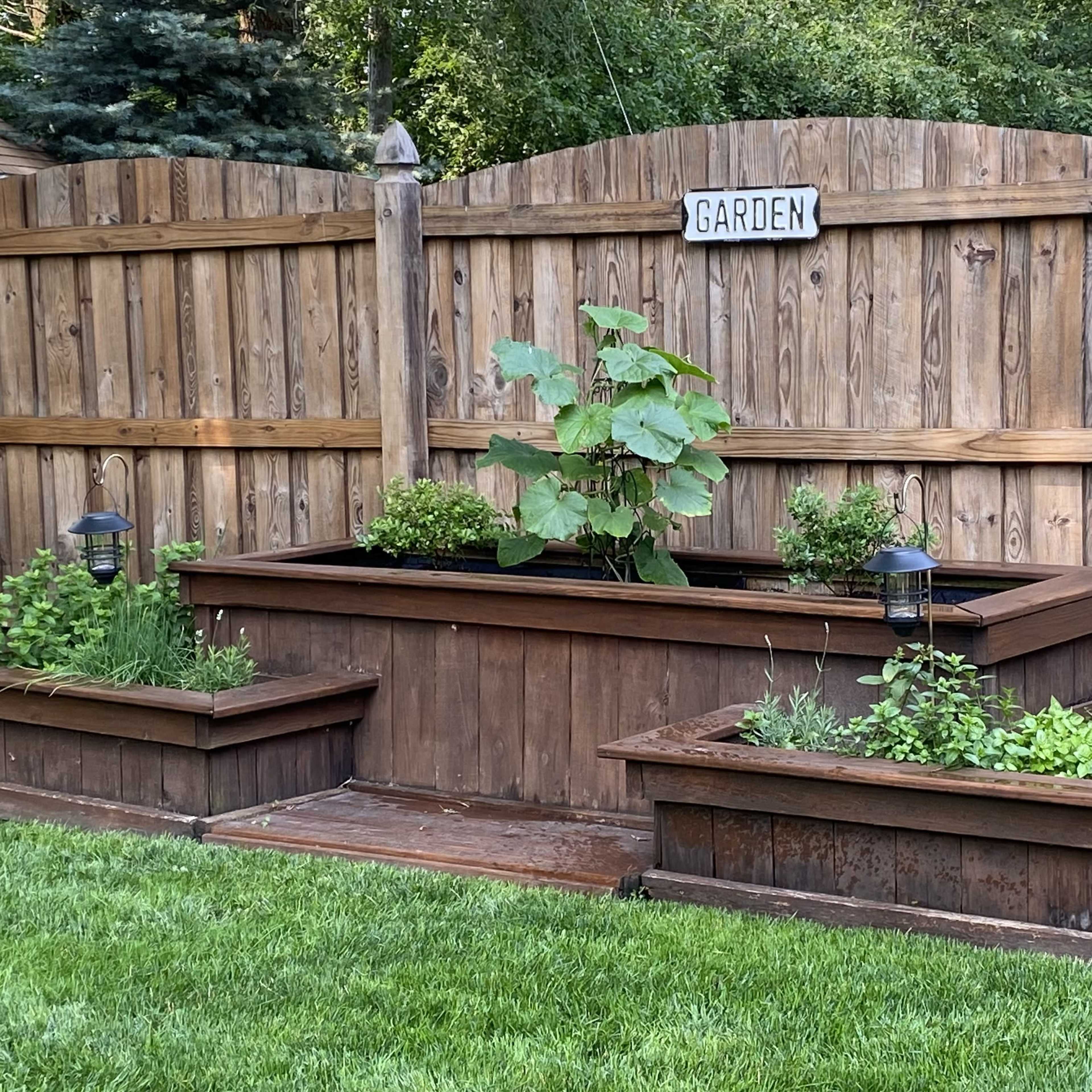 A wooden garden bed with a flowering plant in the center, surrounded by smaller raised planters, all set against a wooden fence.