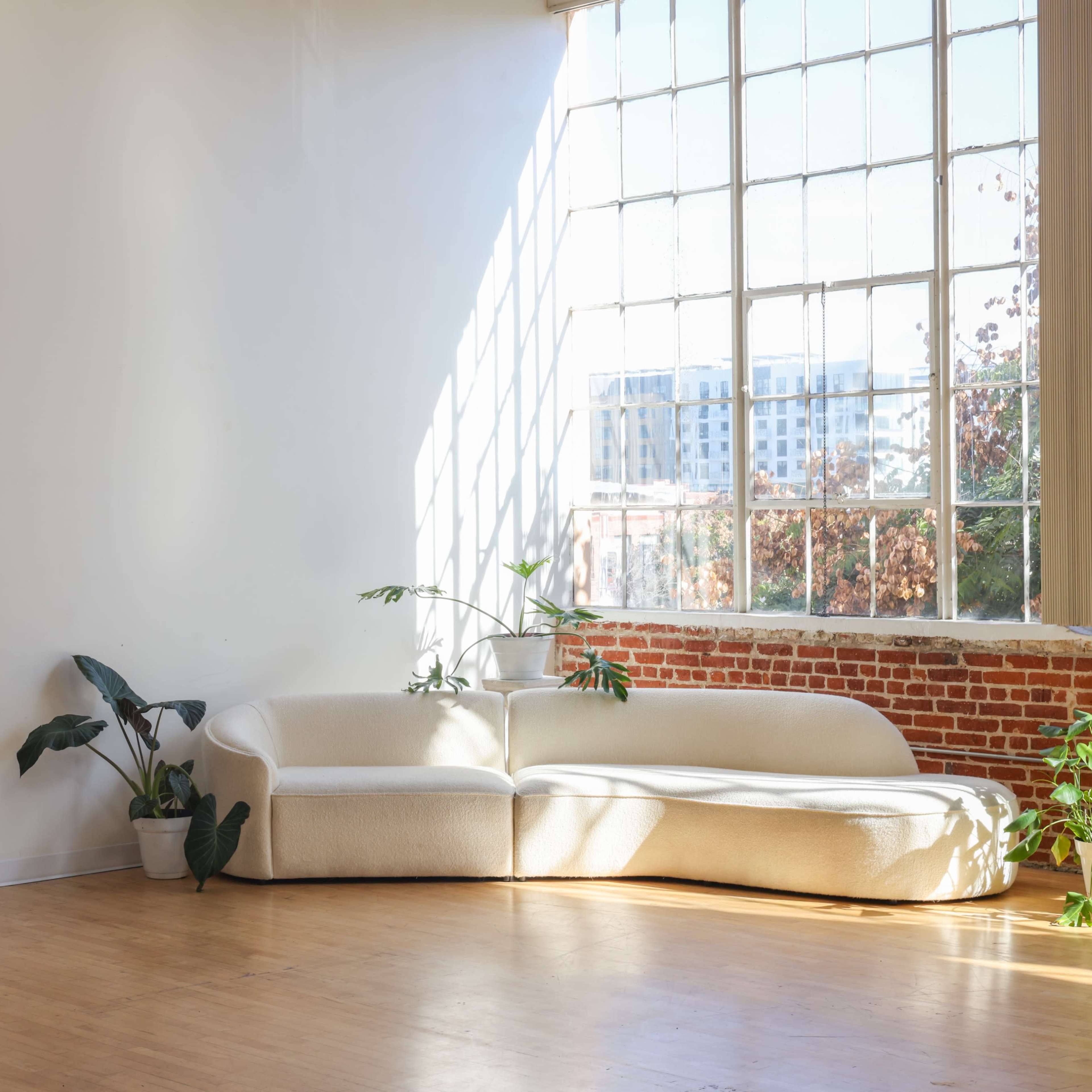 A curved white sofa is positioned next to a large window in a bright, minimalist room with wooden flooring and potted plants.