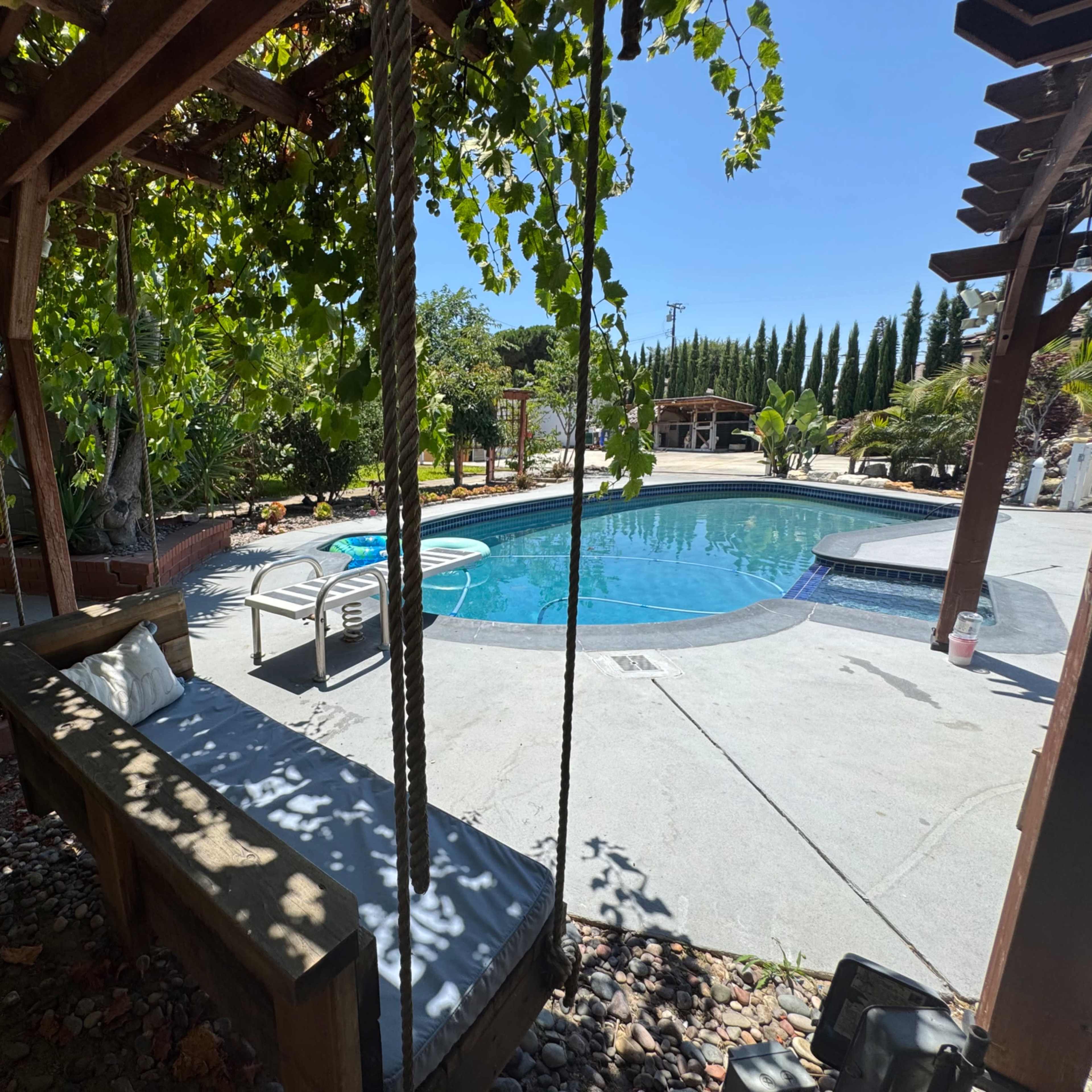 A wooden swing hangs beside a swimming pool surrounded by greenery and lounge chairs.