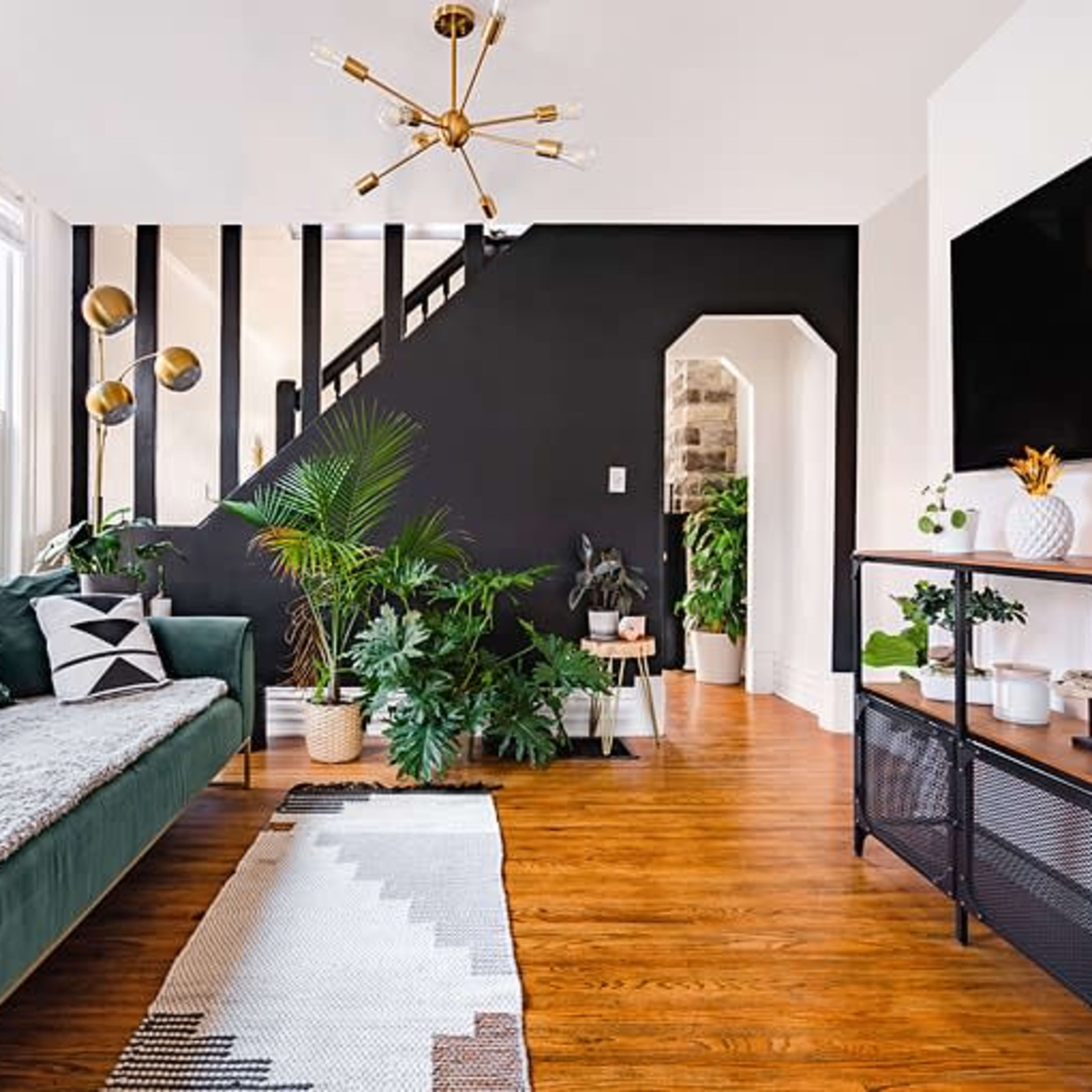A modern living room featuring a green sofa with decorative pillows, a geometric rug, and a staircase leading to an upper level against a black accent wall, accompanied by various indoor plants and a television setup.