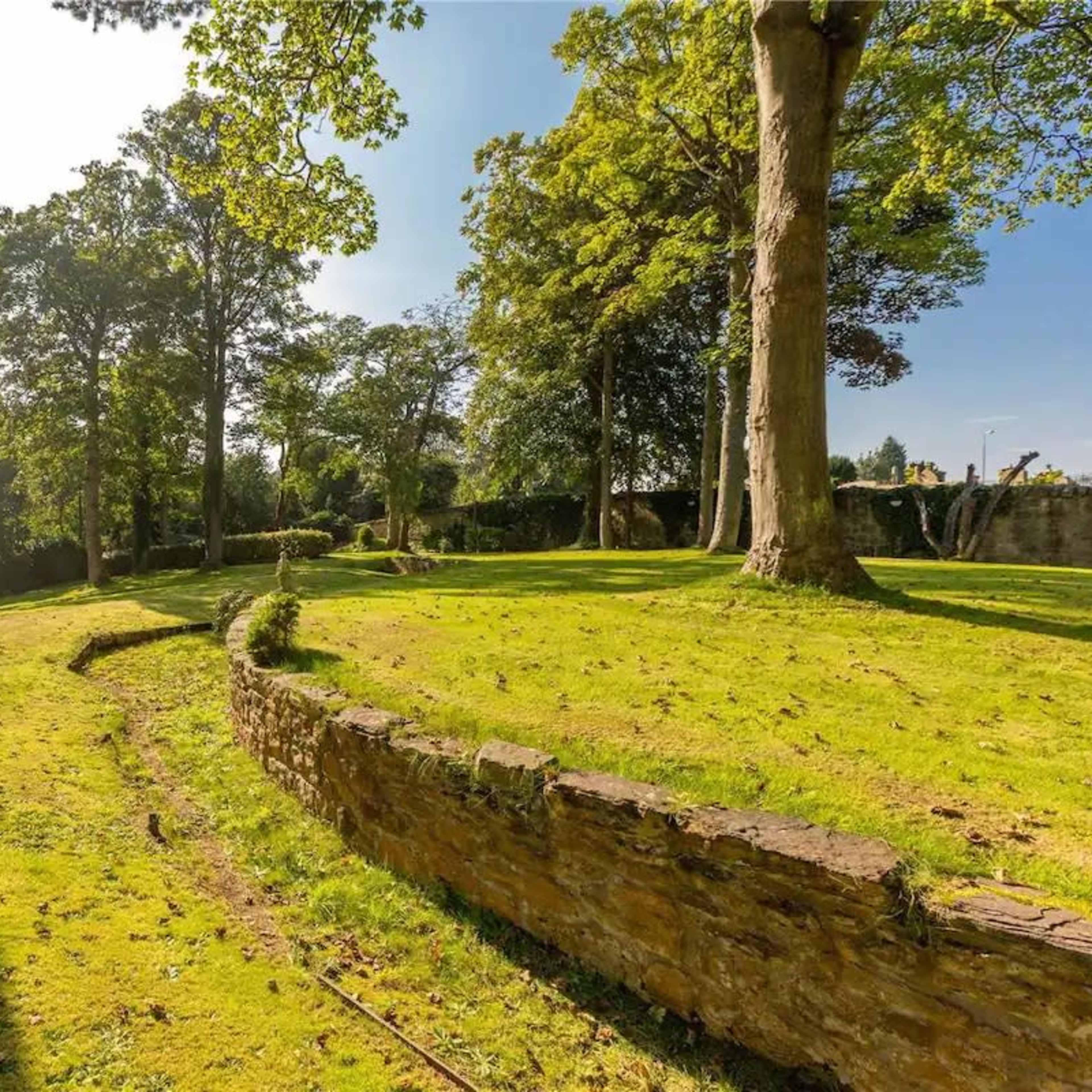 A grassy area with trees and a stone wall, casting long shadows in the sunlight.