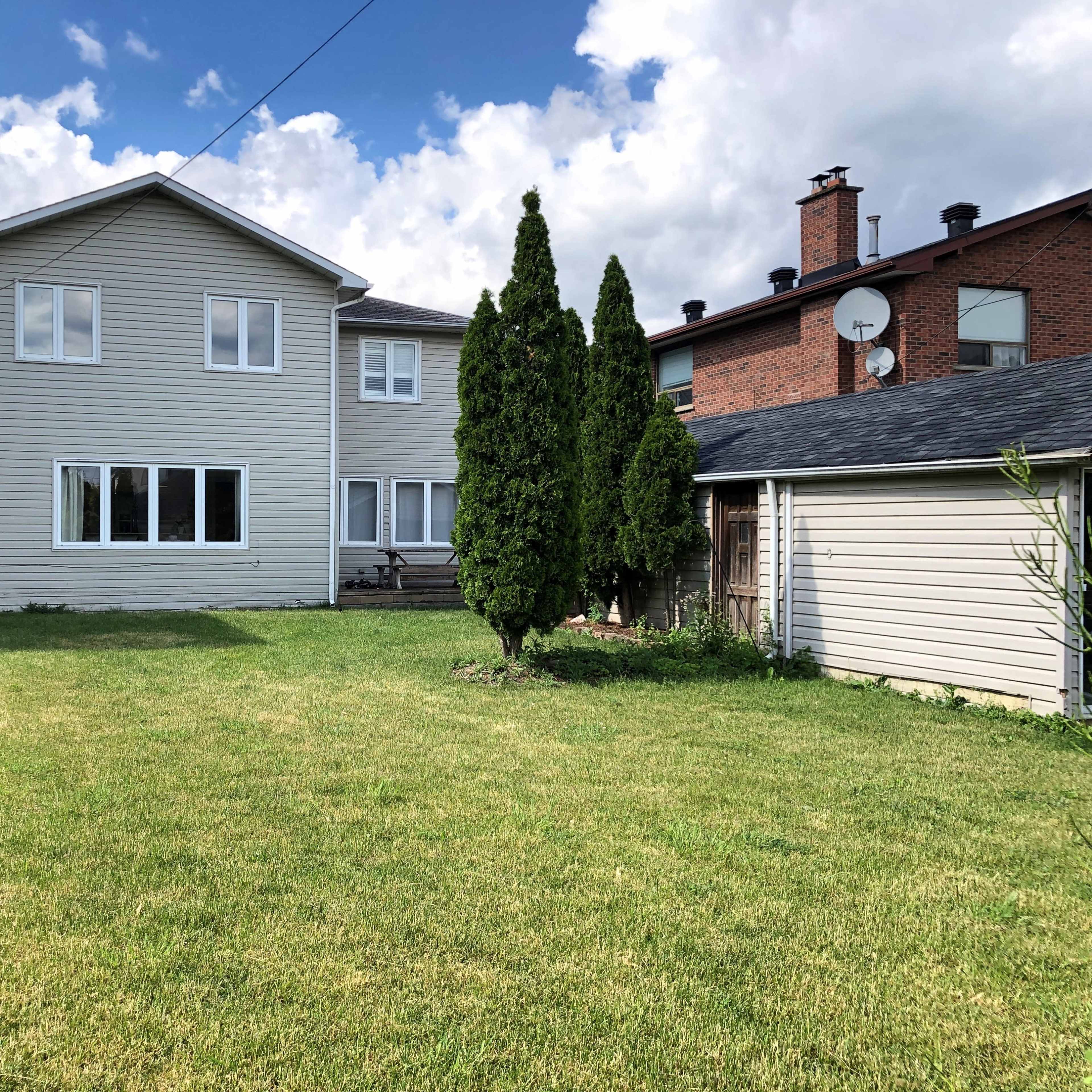 A backyard with a two-story house, a patio area, two tall evergreen trees, and several nearby neighboring buildings.