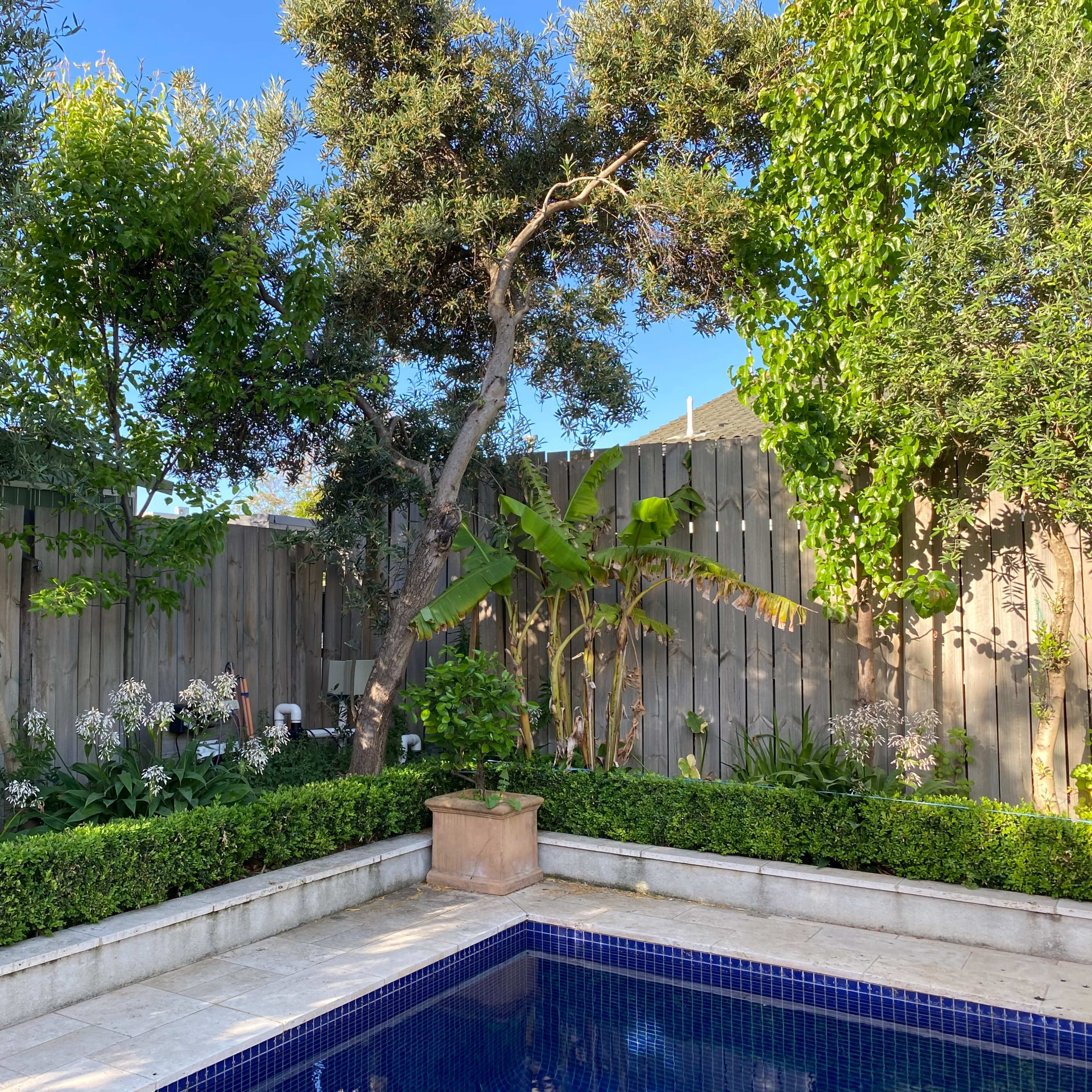 A clean garden area features a swimming pool surrounded by green hedges, trees, and flowering plants.