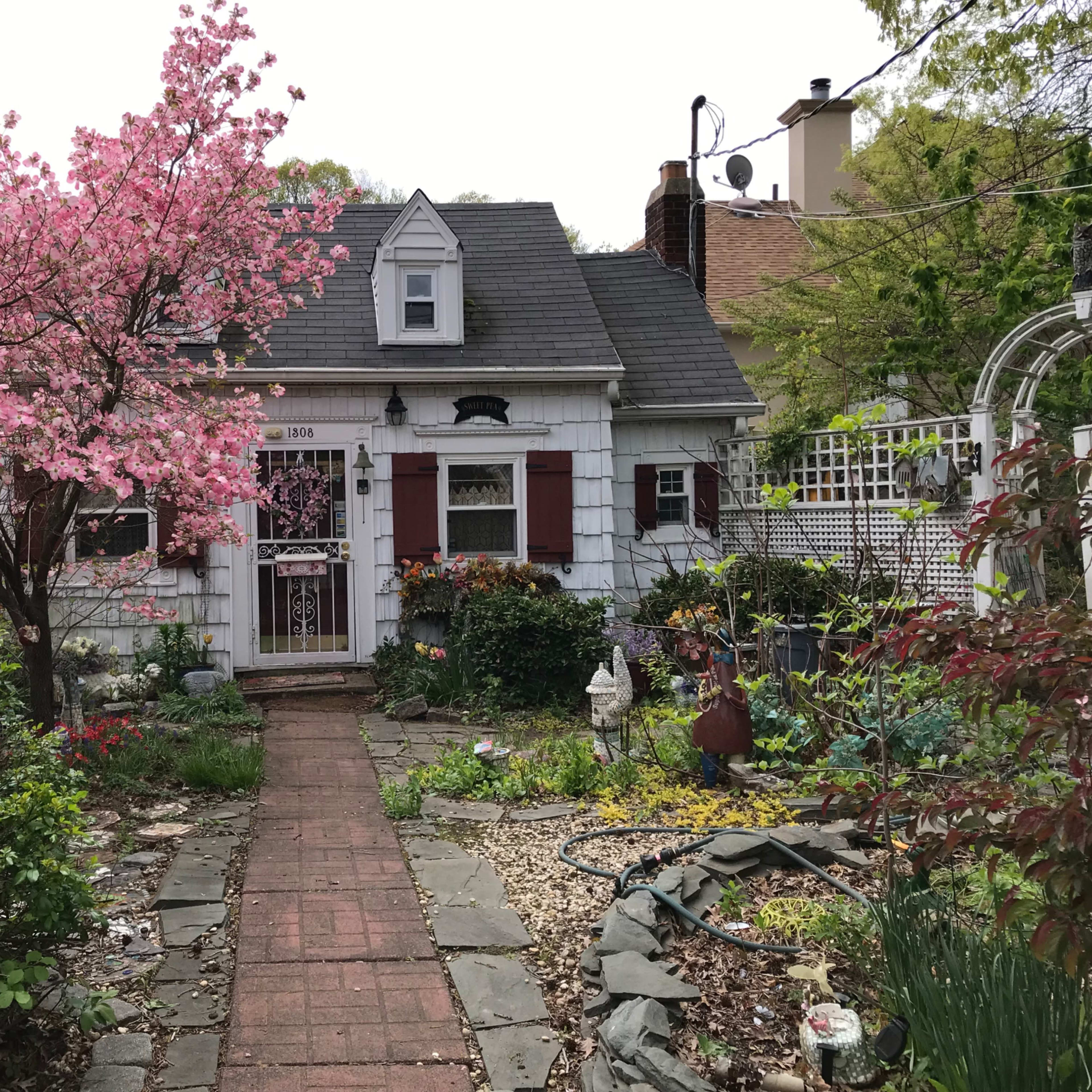 A small, white cottage with a gray roof is surrounded by a garden featuring blooming pink trees and various plants along a brick walkway.