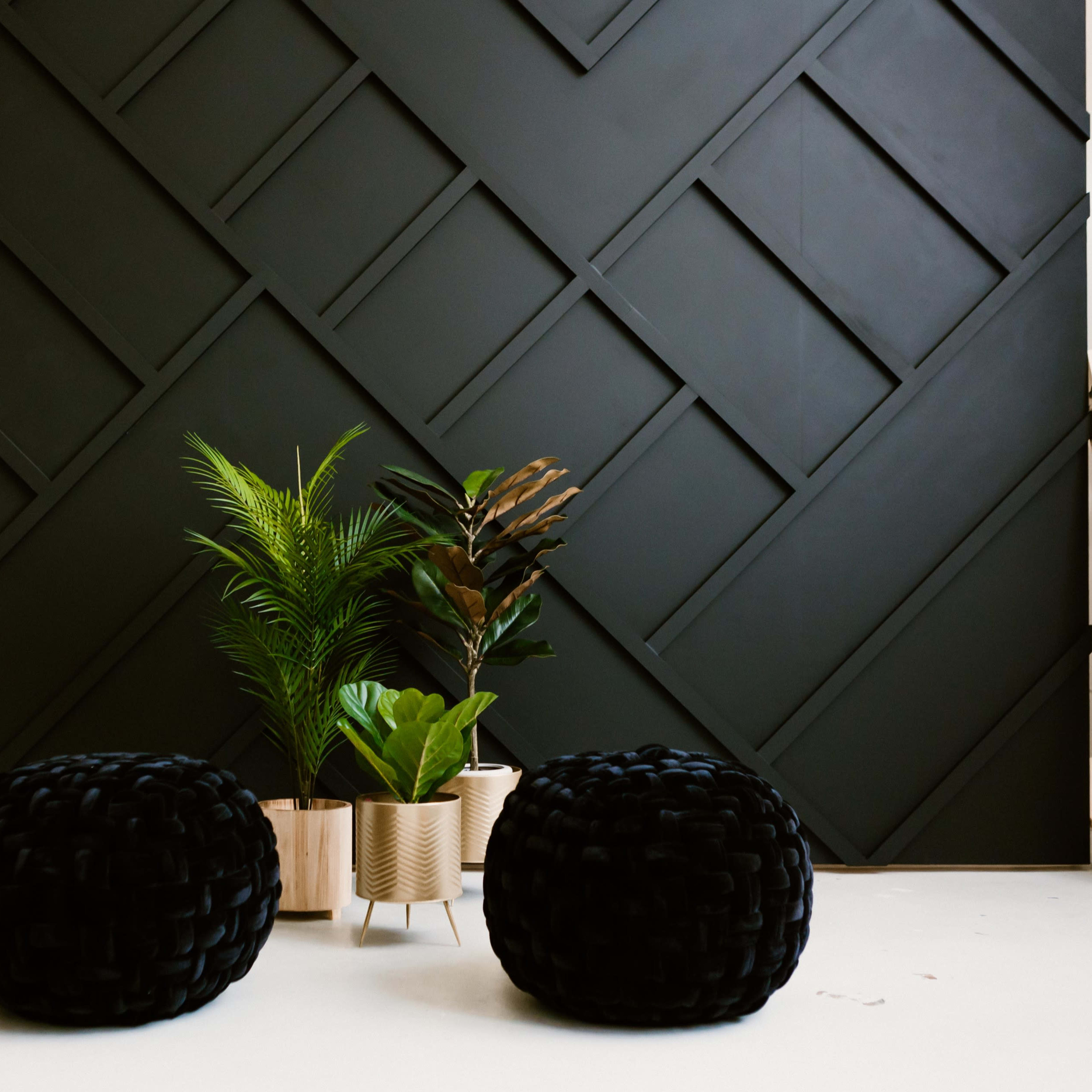 Two black poufs in front of a textured black wall, with a pair of plants in neutral-colored planters positioned between them.