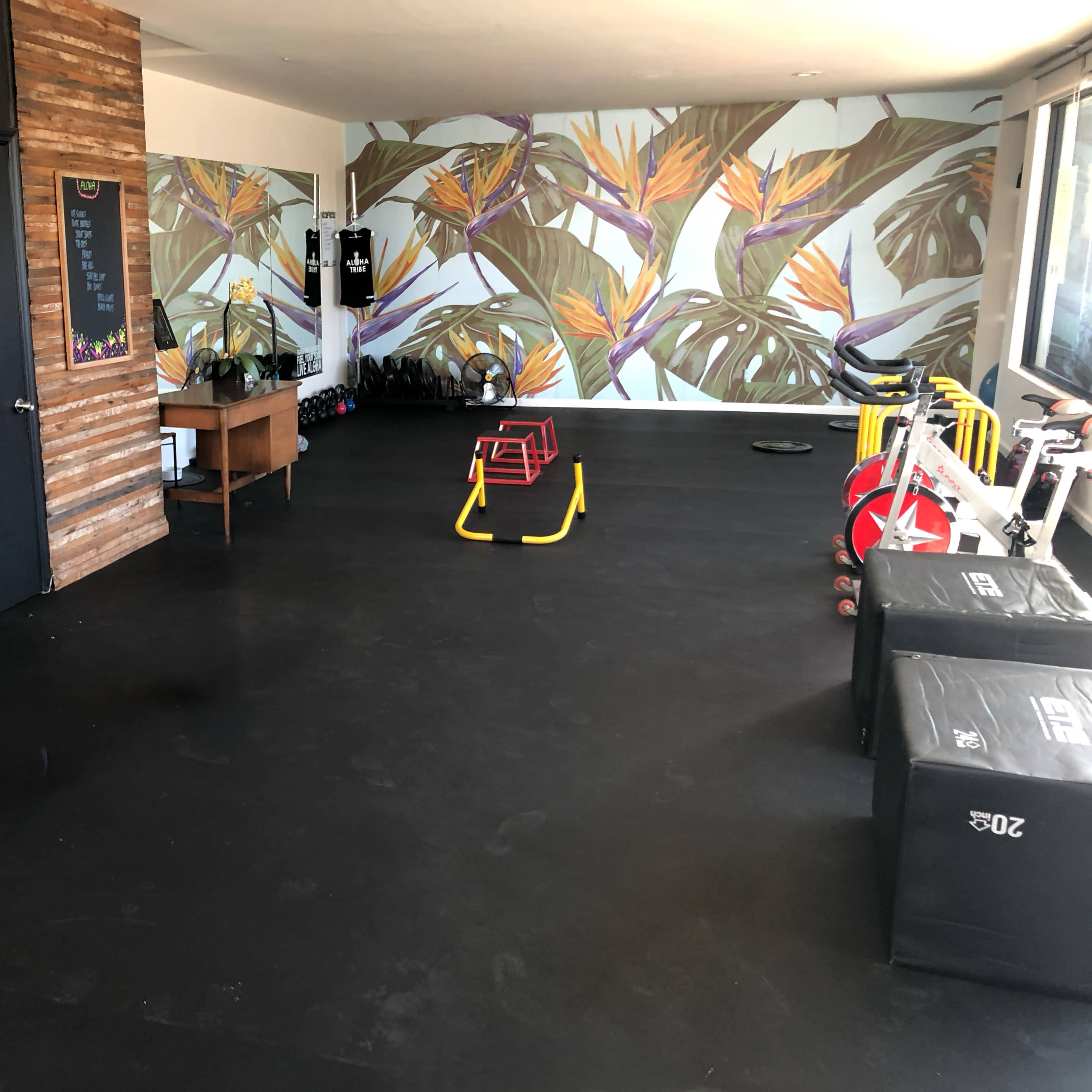 Bright, Beautiful Fitness Studio with Aloha Vibes in the Heart of LA Image in Central LA, Los Angeles, CA