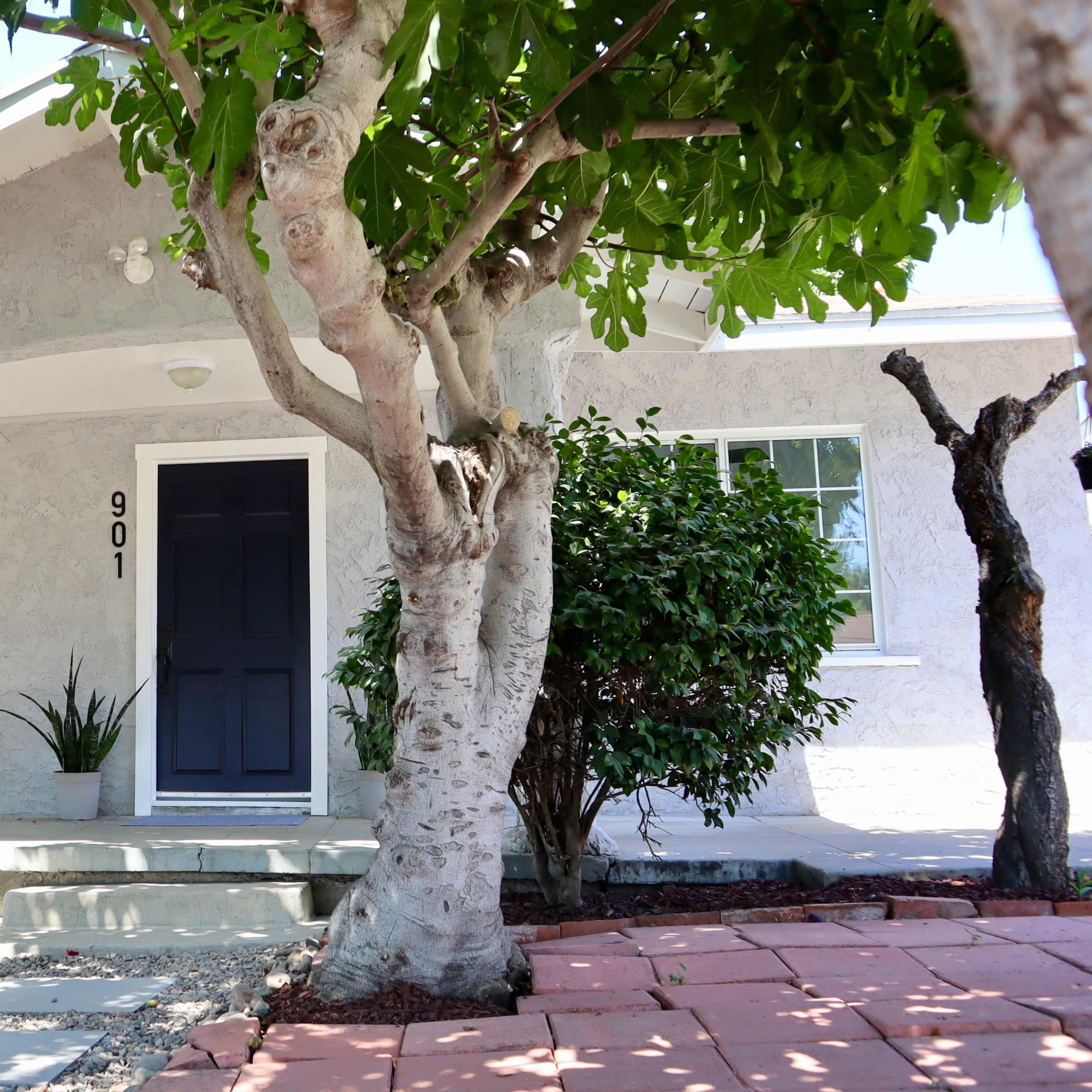 A light-colored house with the number 901 on the front door, surrounded by trees and a landscaped pathway.