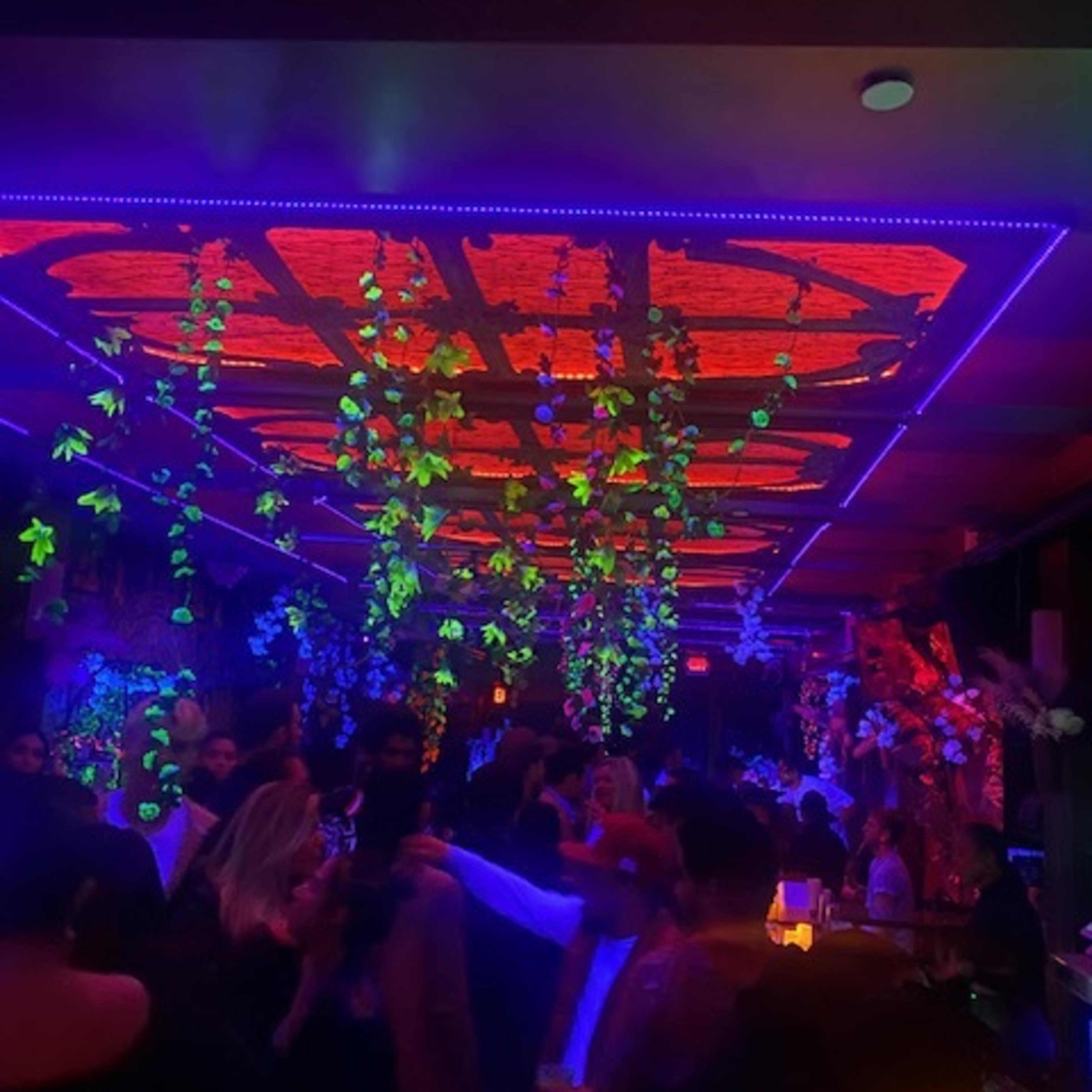 A crowded bar features vibrant neon lighting and hanging greenery.
