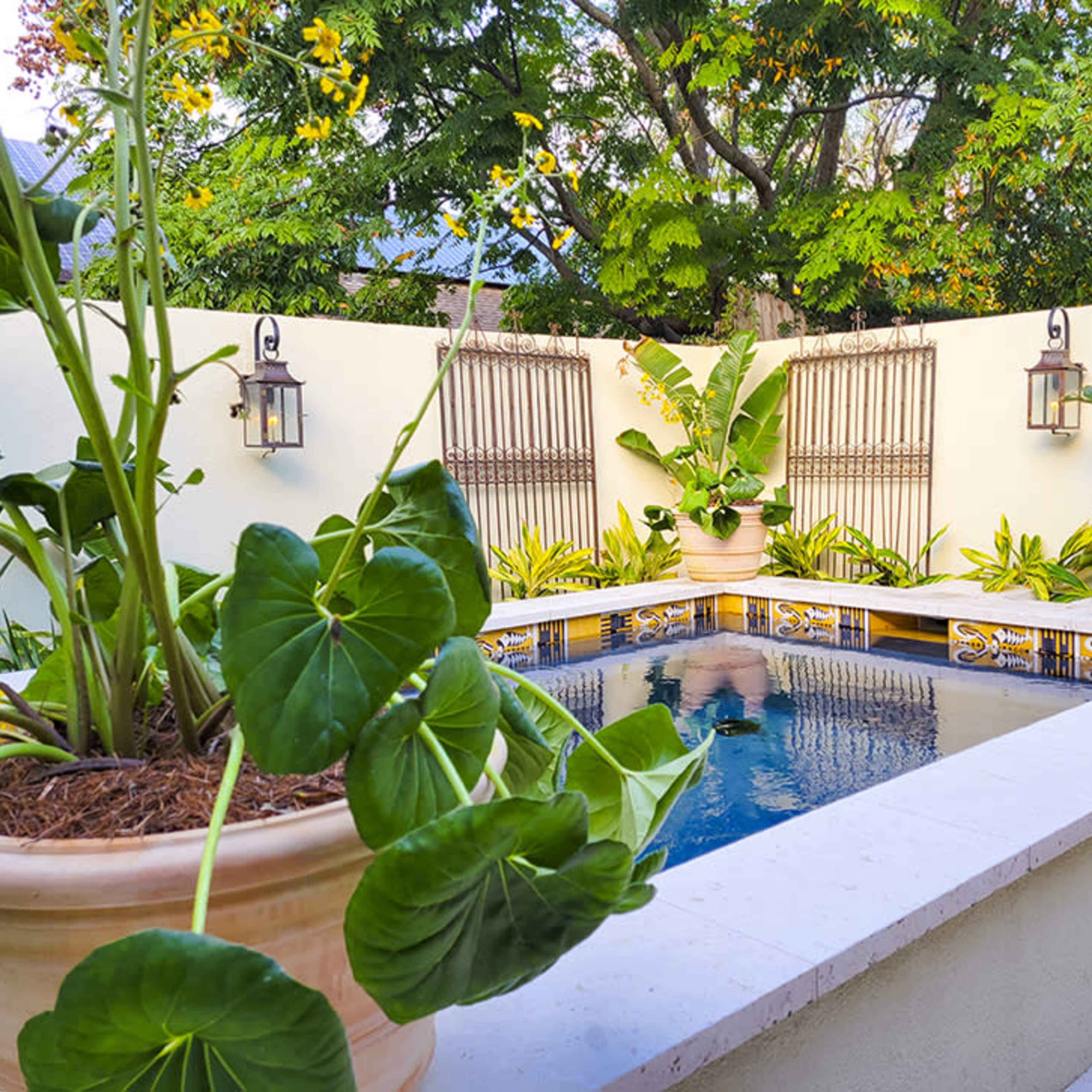 A small outdoor pool is surrounded by potted plants and a stone wall, creating a secluded garden space.