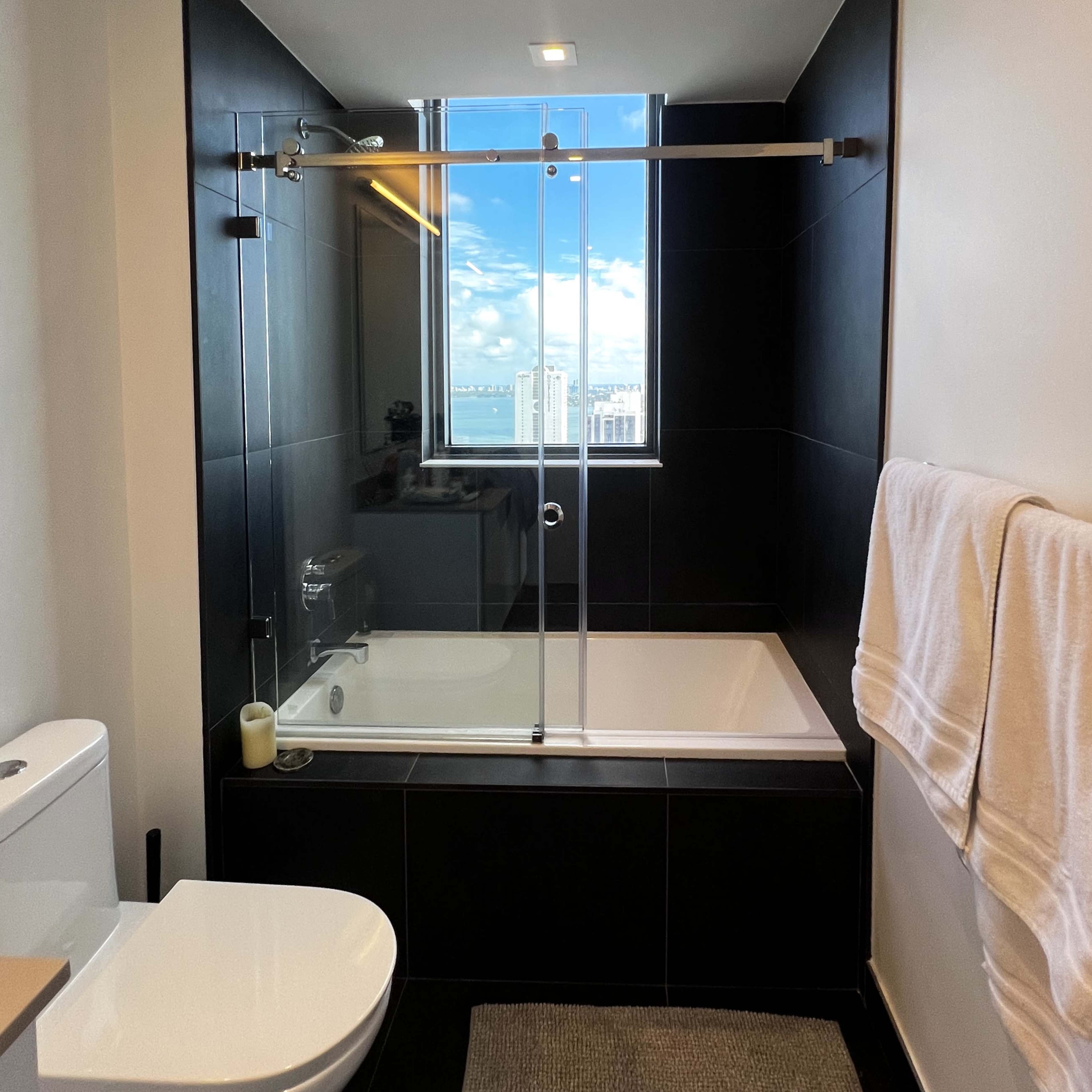 The bathroom features a glass shower enclosure above a bathtub, a toilet, and a large window offering a view of the skyline.